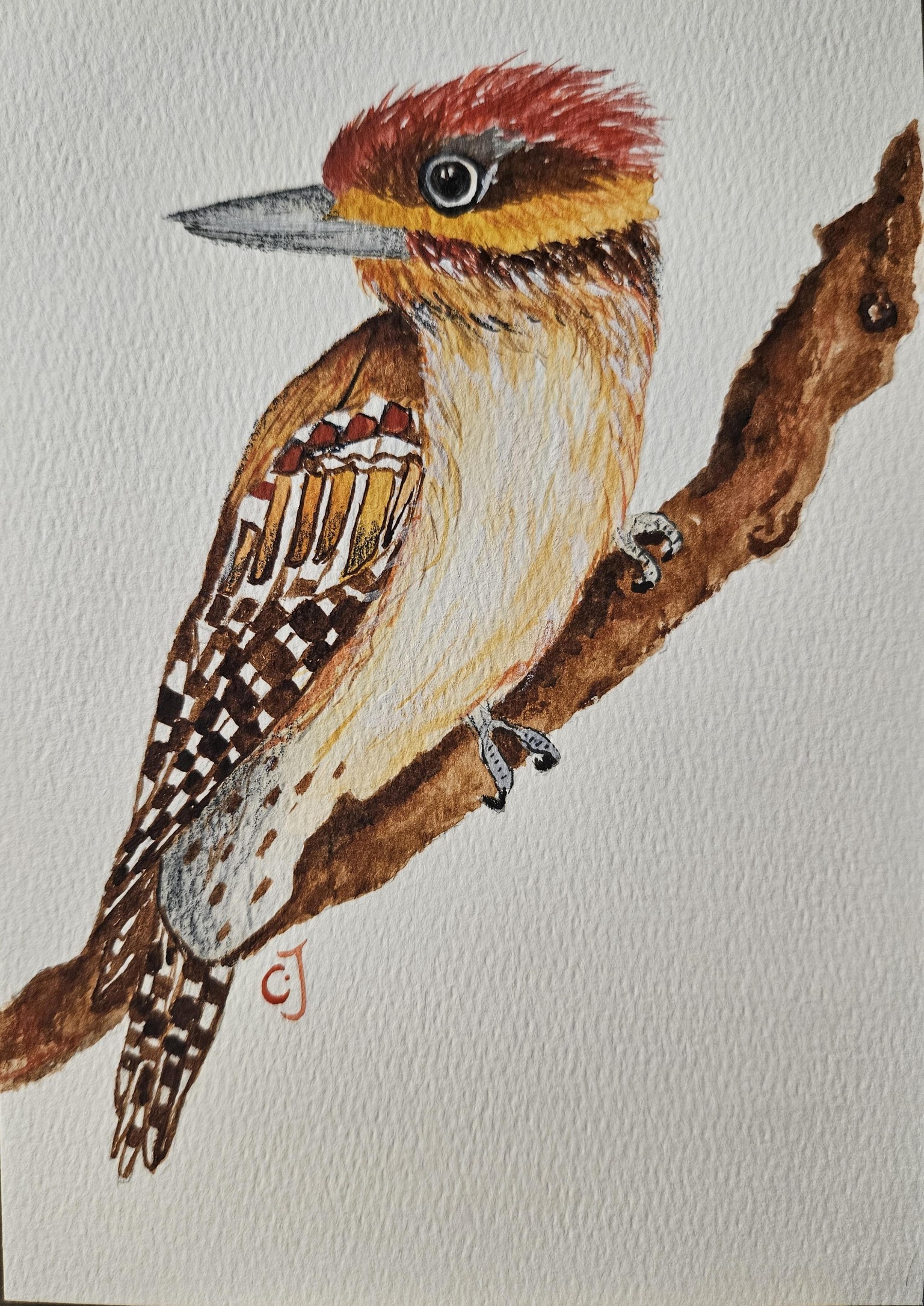 Little woodpecker - image 1 - student project