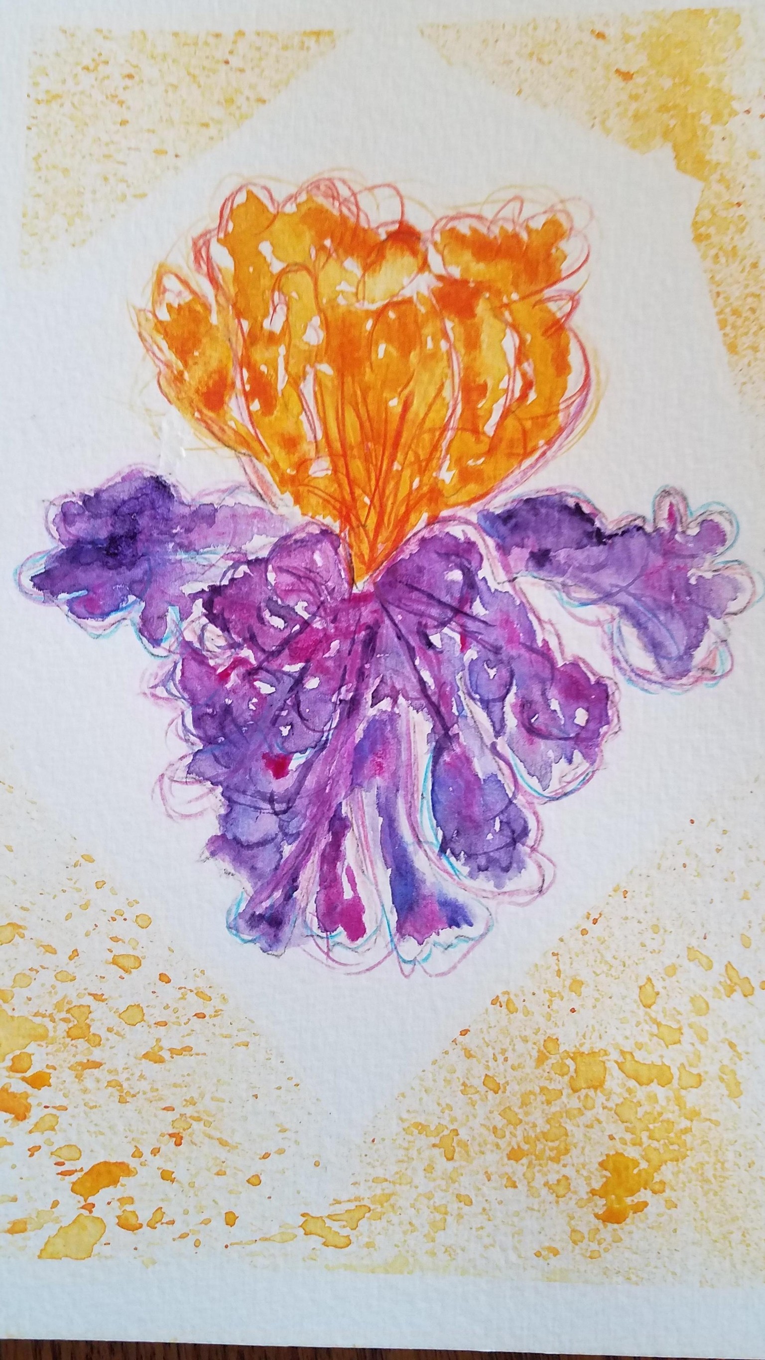 iris - image 1 - student project
