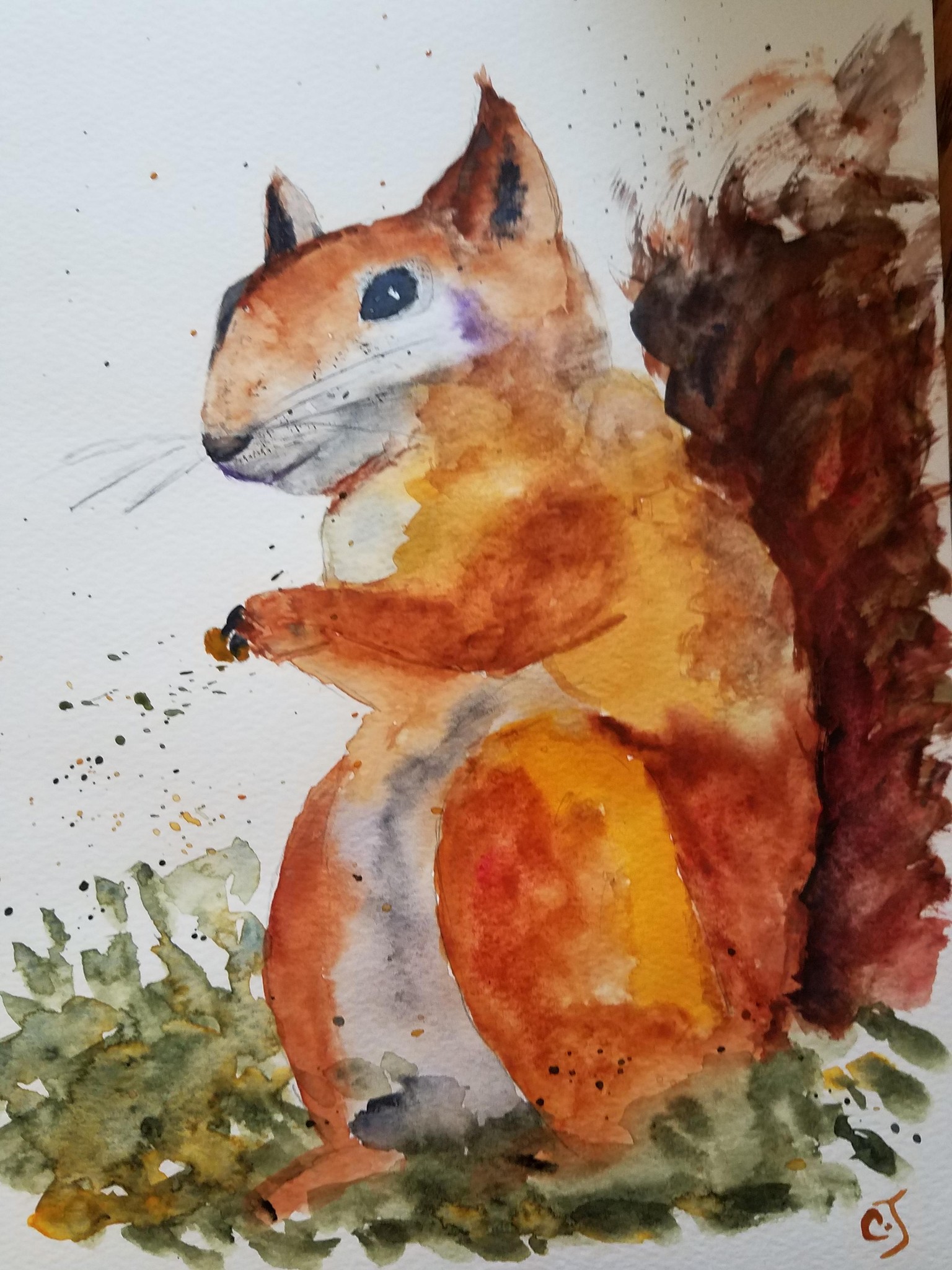 squirrel0921 - image 1 - student project