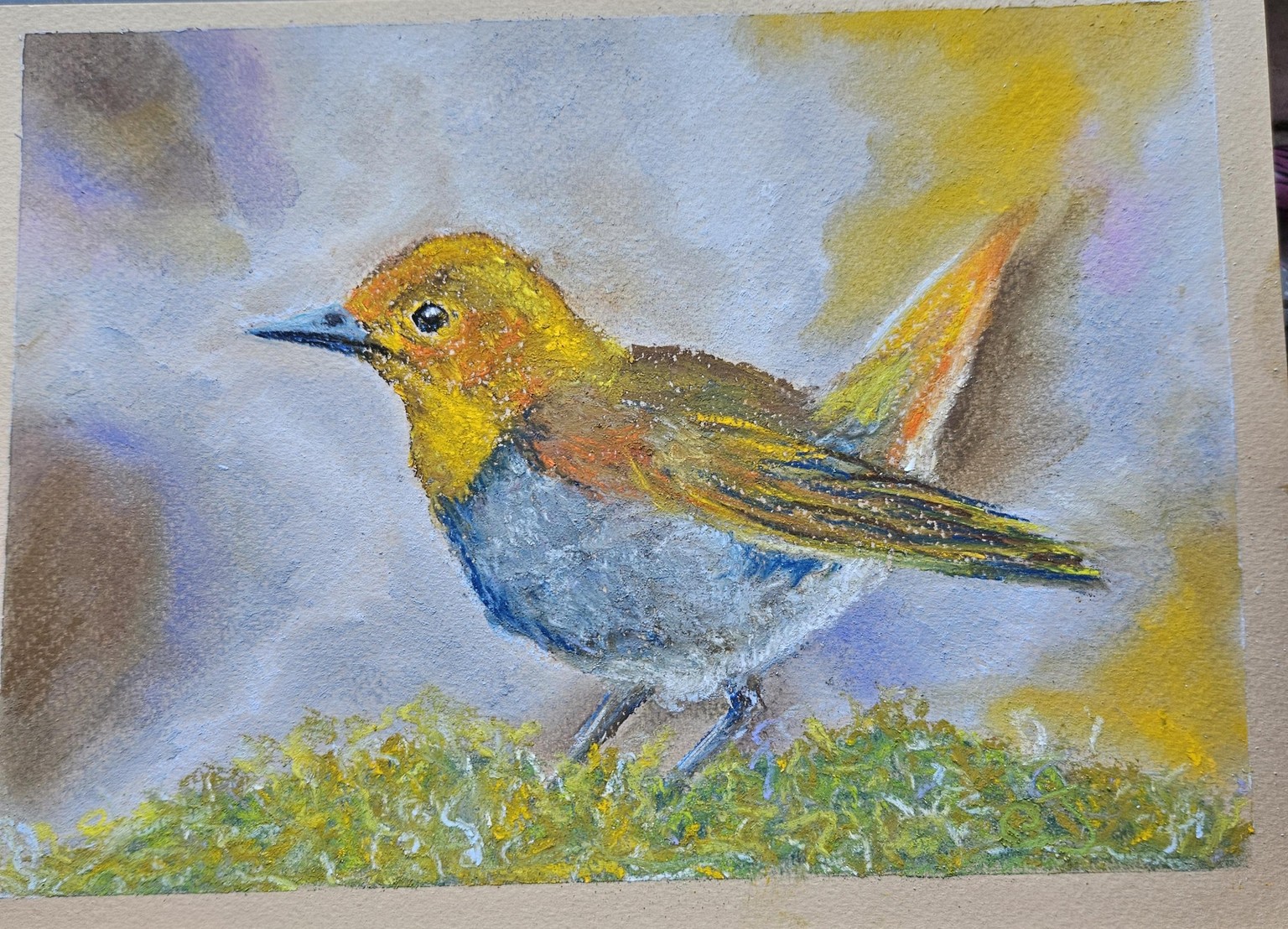 Fluffy Robin -pastel - image 1 - student project
