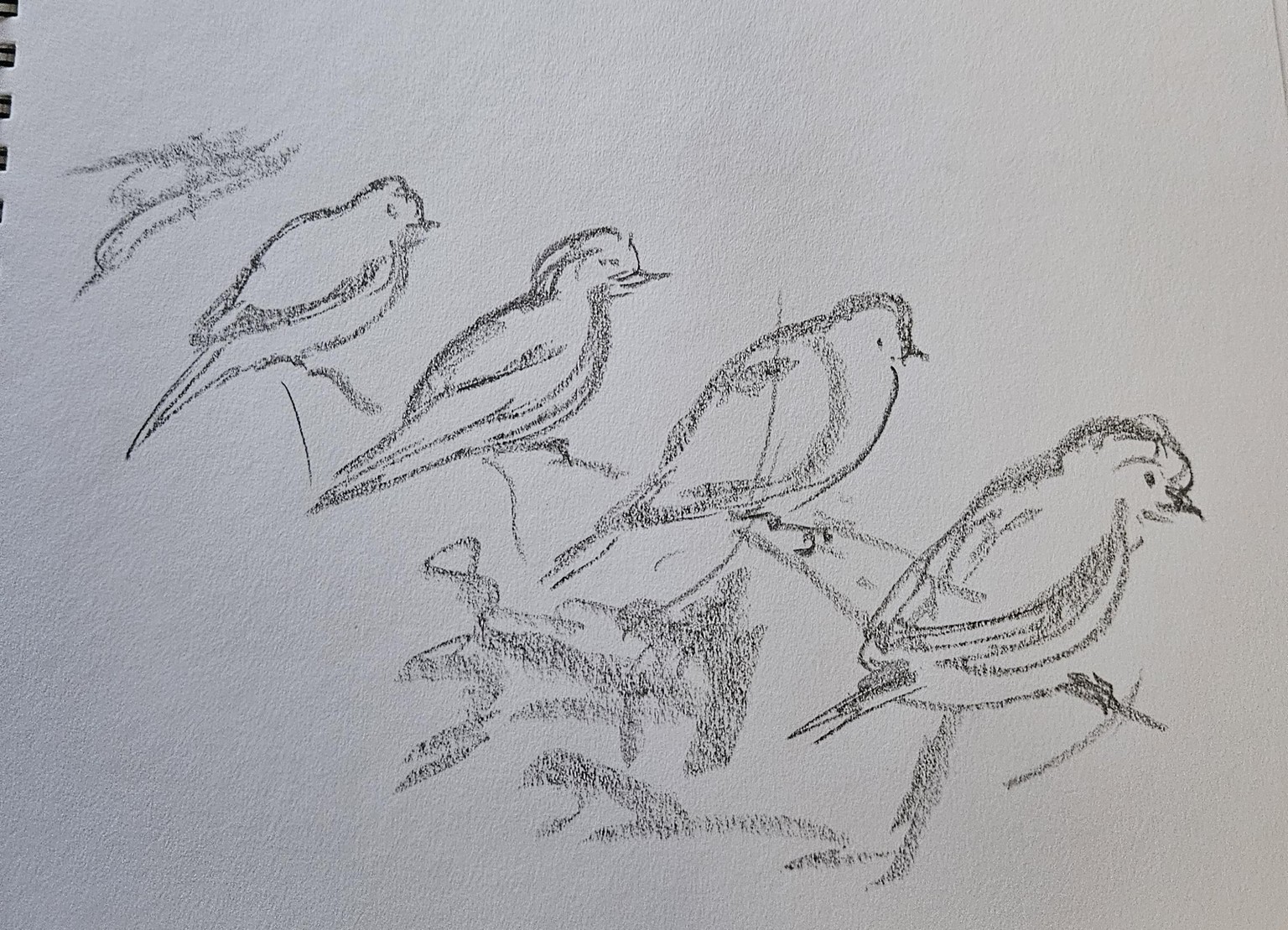 Loose sketching -stick graphite - image 2 - student project