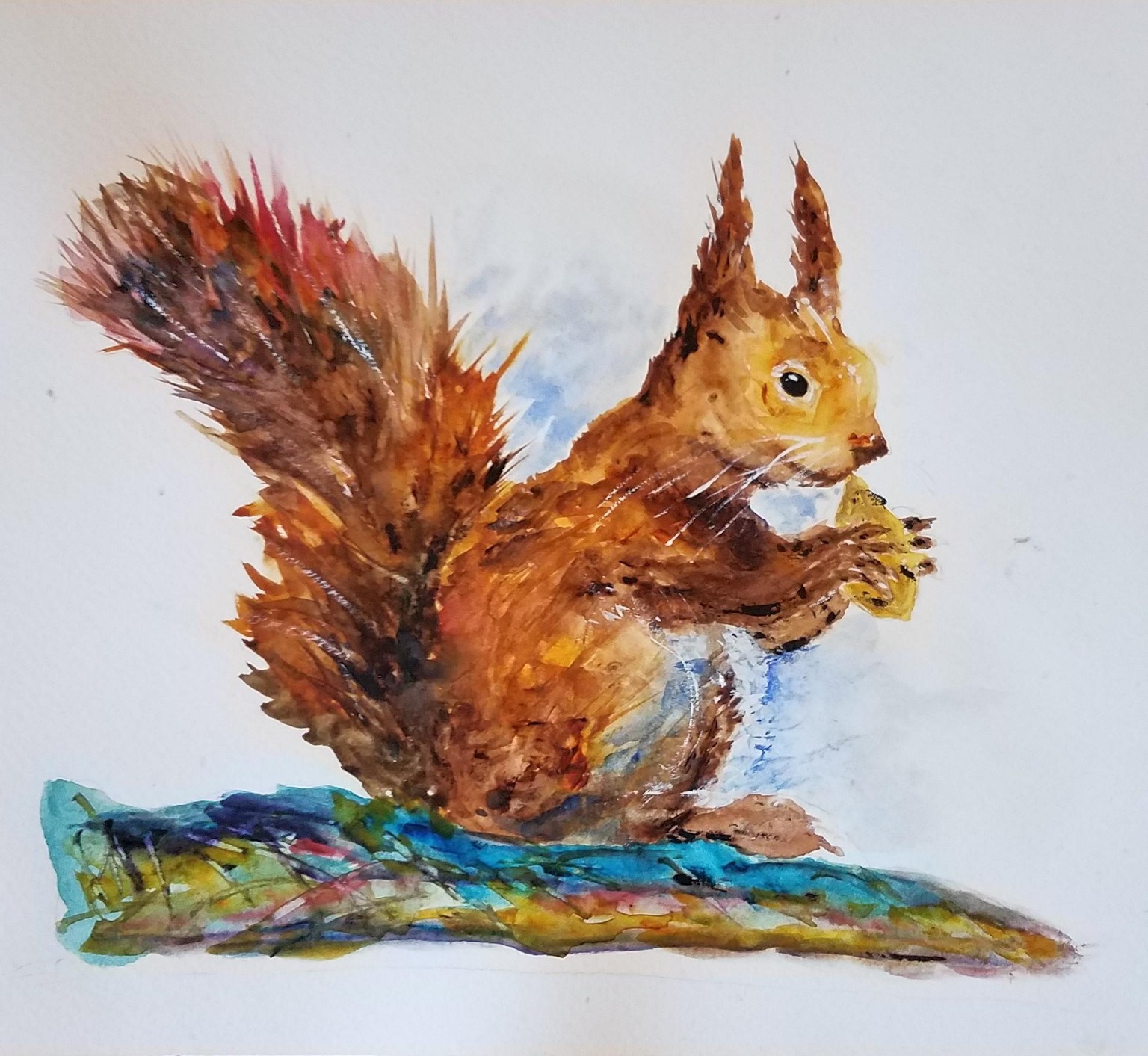 Red squirrel - image 1 - student project