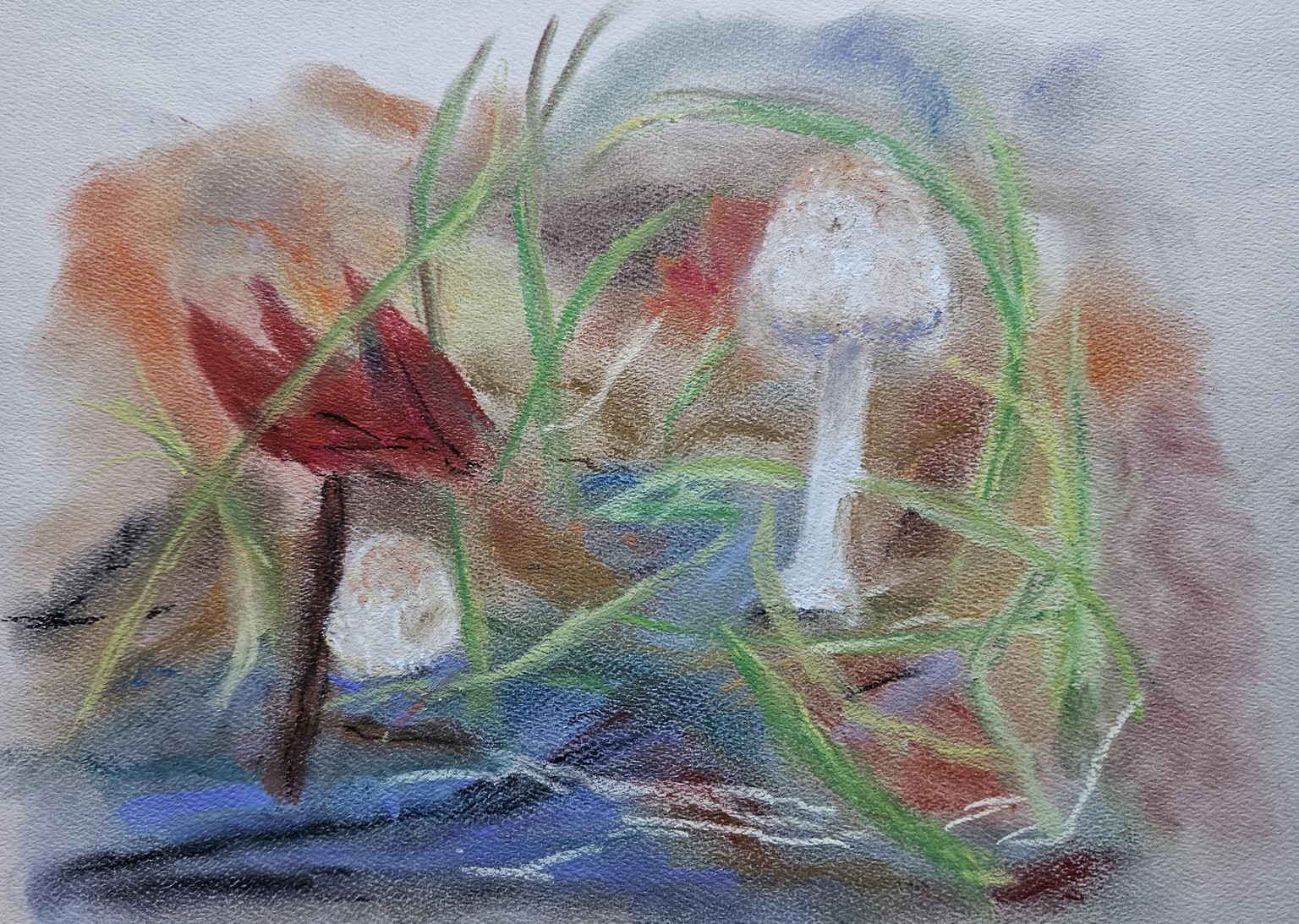 Mushroom -pastel - image 1 - student project