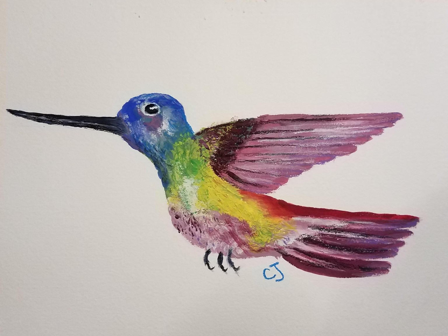 Gouache hummingbird - image 1 - student project