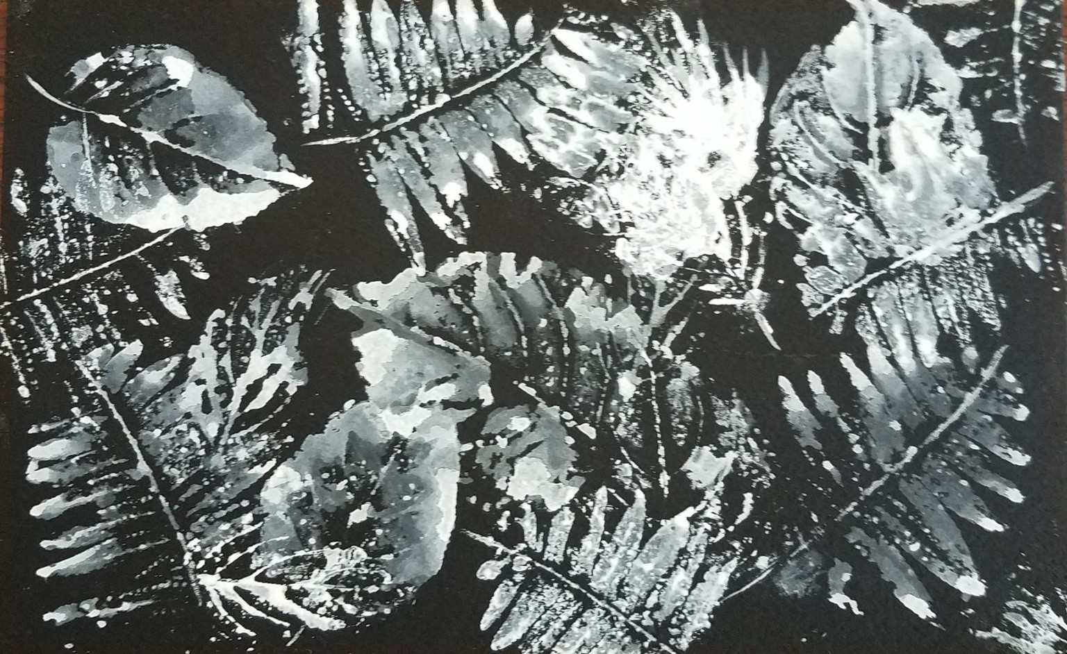 Leaf print - image 2 - student project