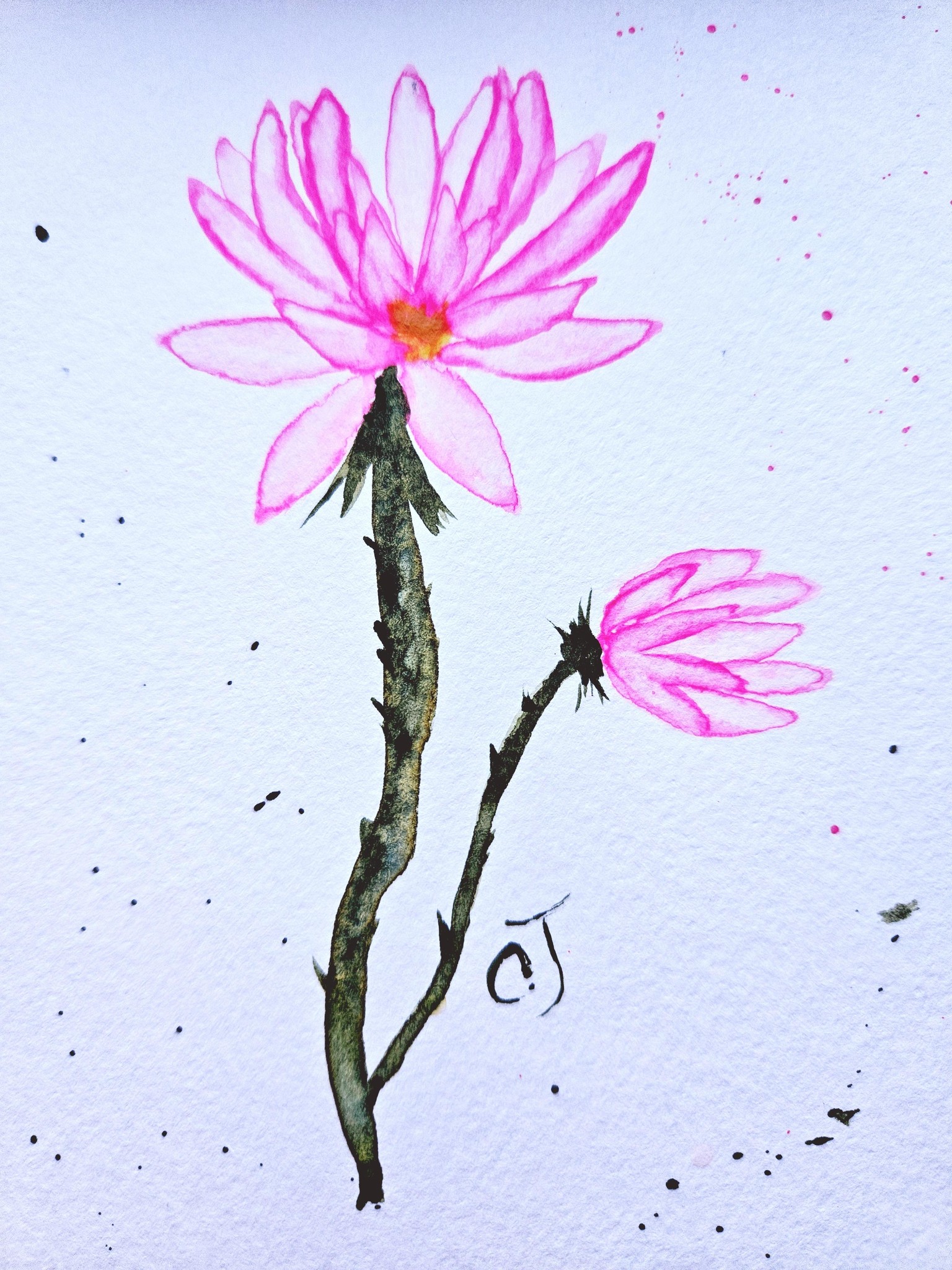 W/c flowers 020624 - image 2 - student project