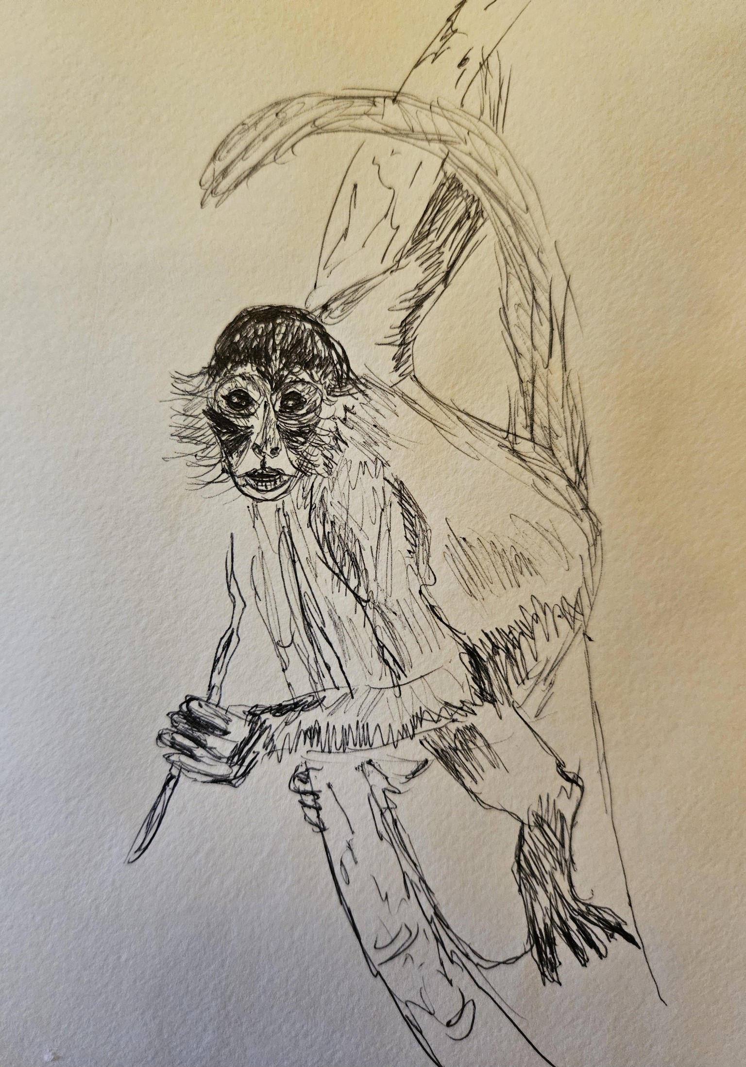 Ballpoint monkey sketch - image 1 - student project
