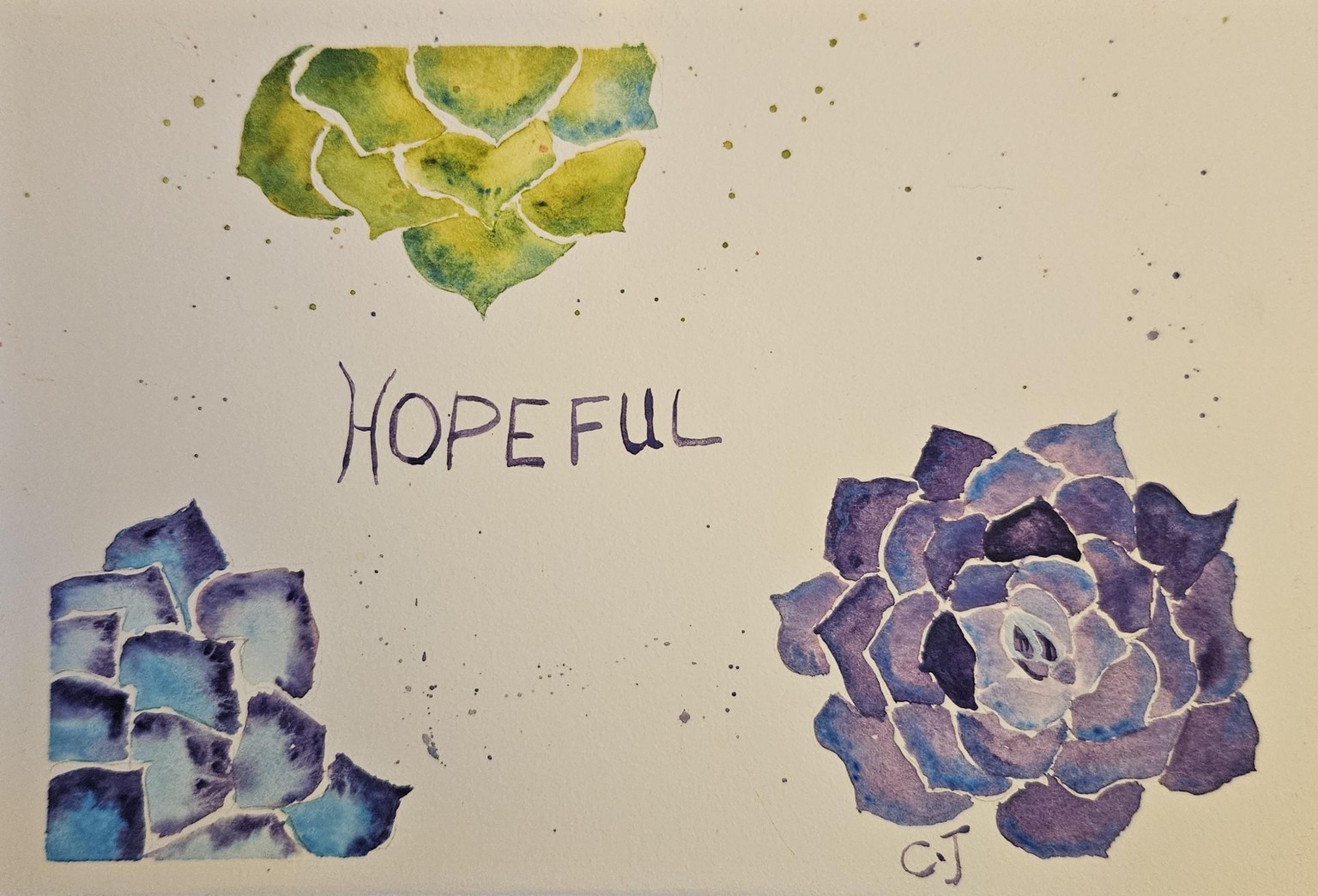 Succulent 111324 - image 1 - student project