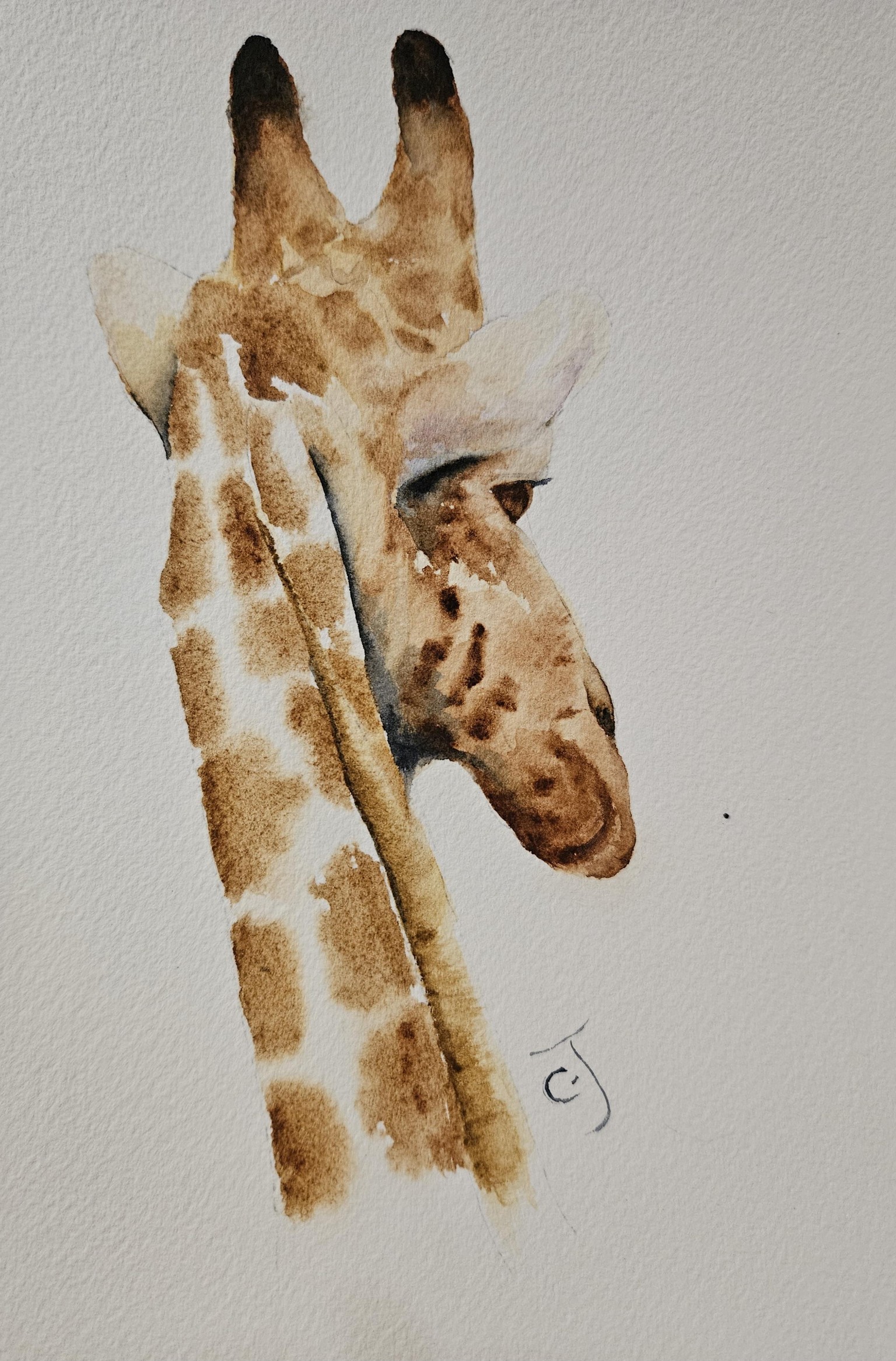 Giraffe-082224 - image 1 - student project