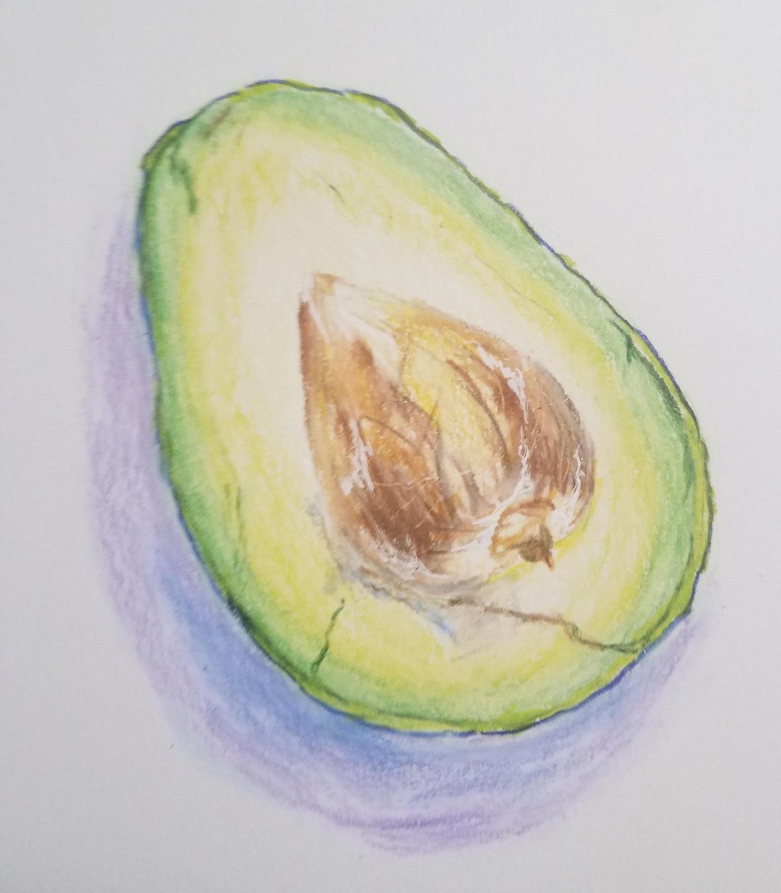 Colored pencil avocado - image 1 - student project