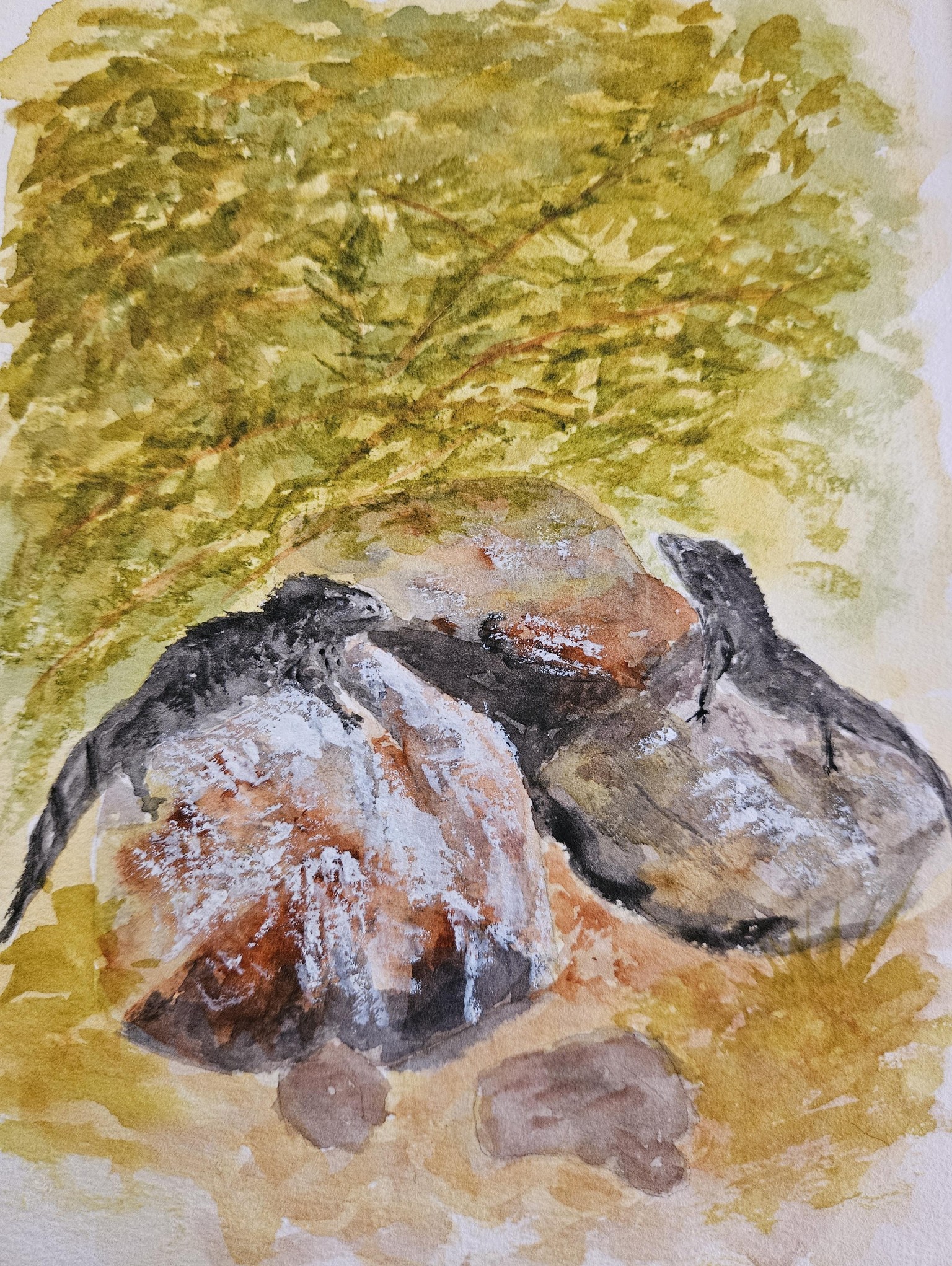 Rock study - image 3 - student project