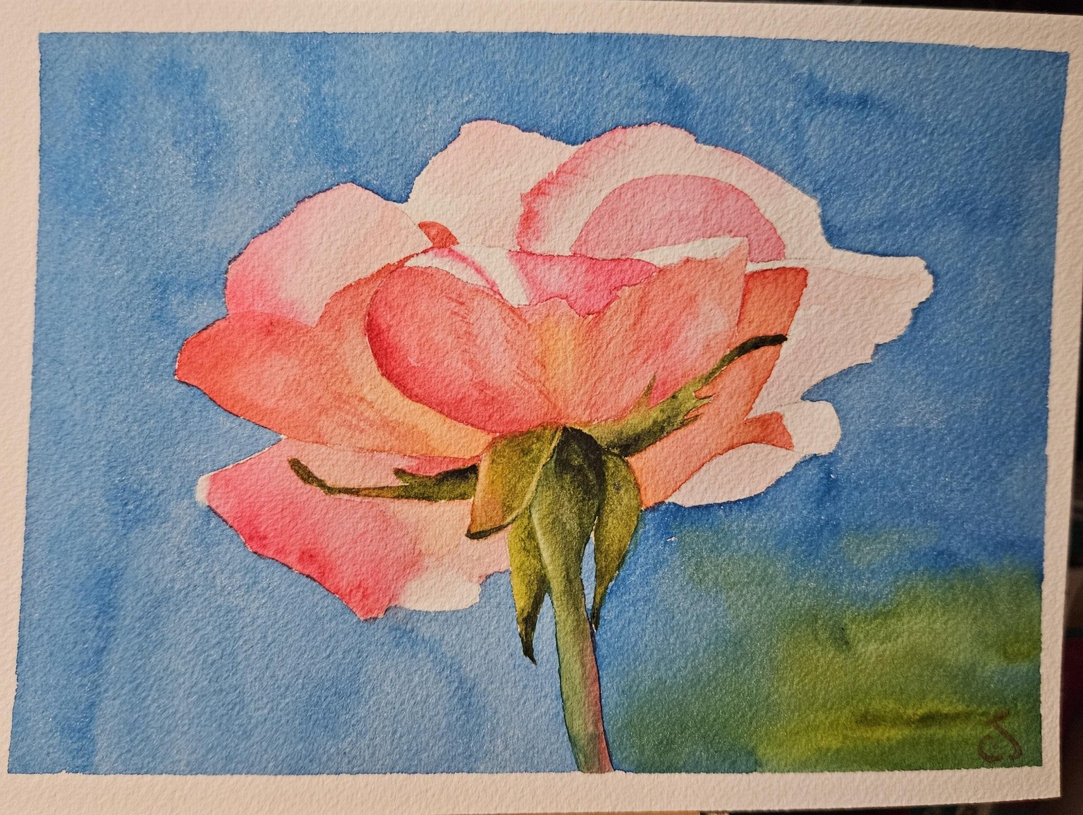 W/C rose 082825 - image 1 - student project
