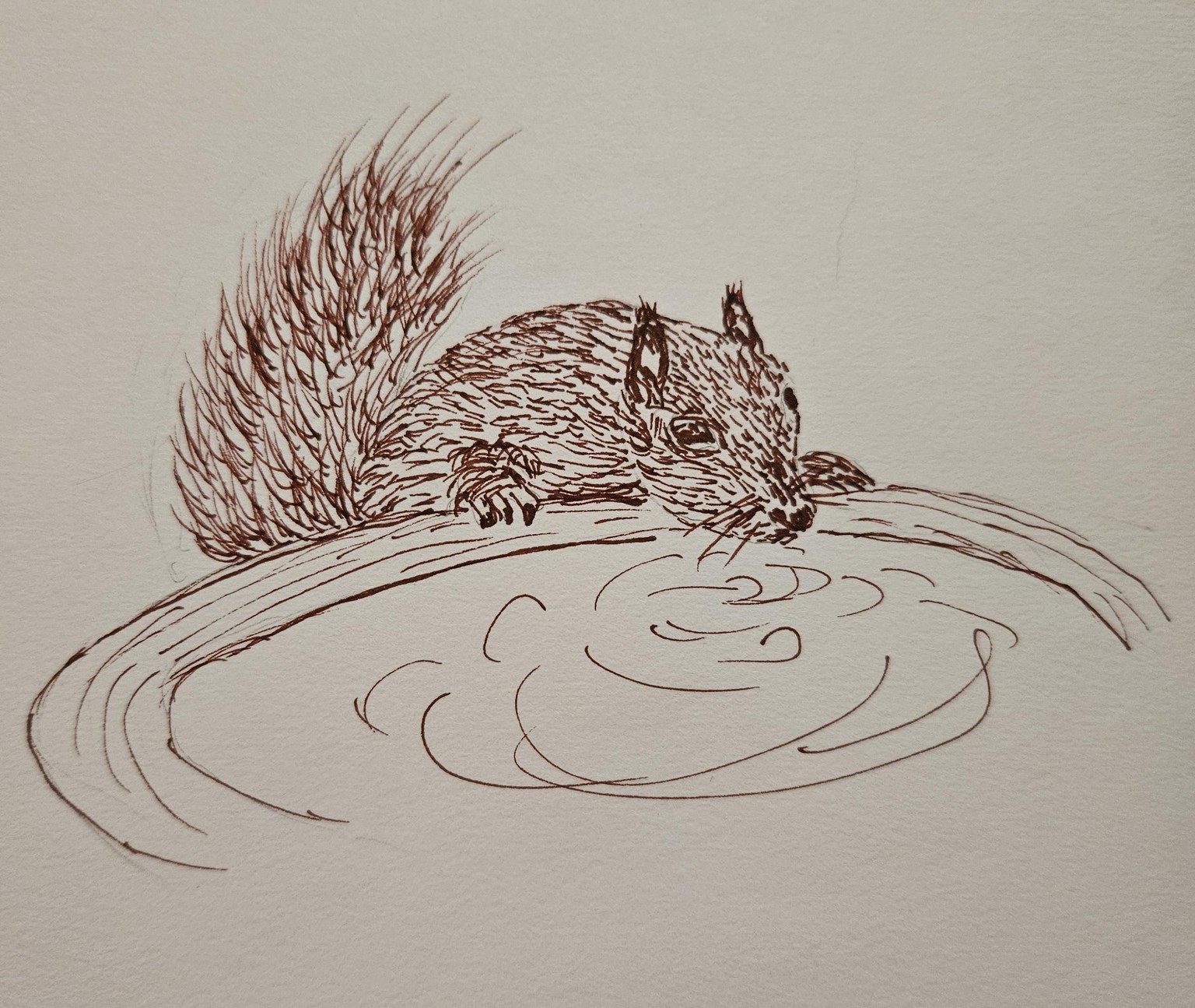 Ink squirrel - image 3 - student project