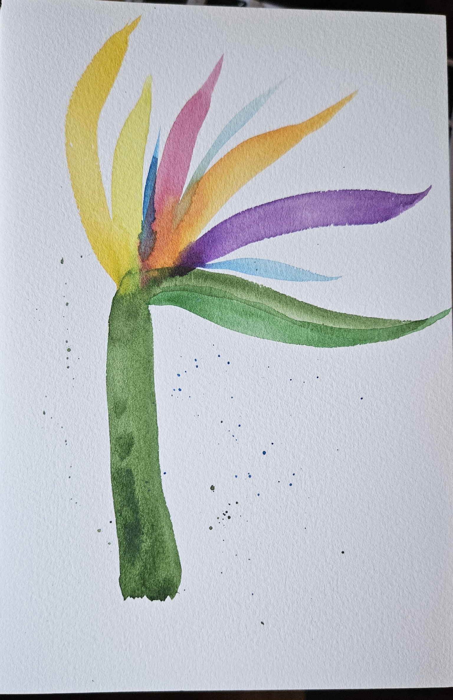 Fantasy bird of paradise - image 1 - student project