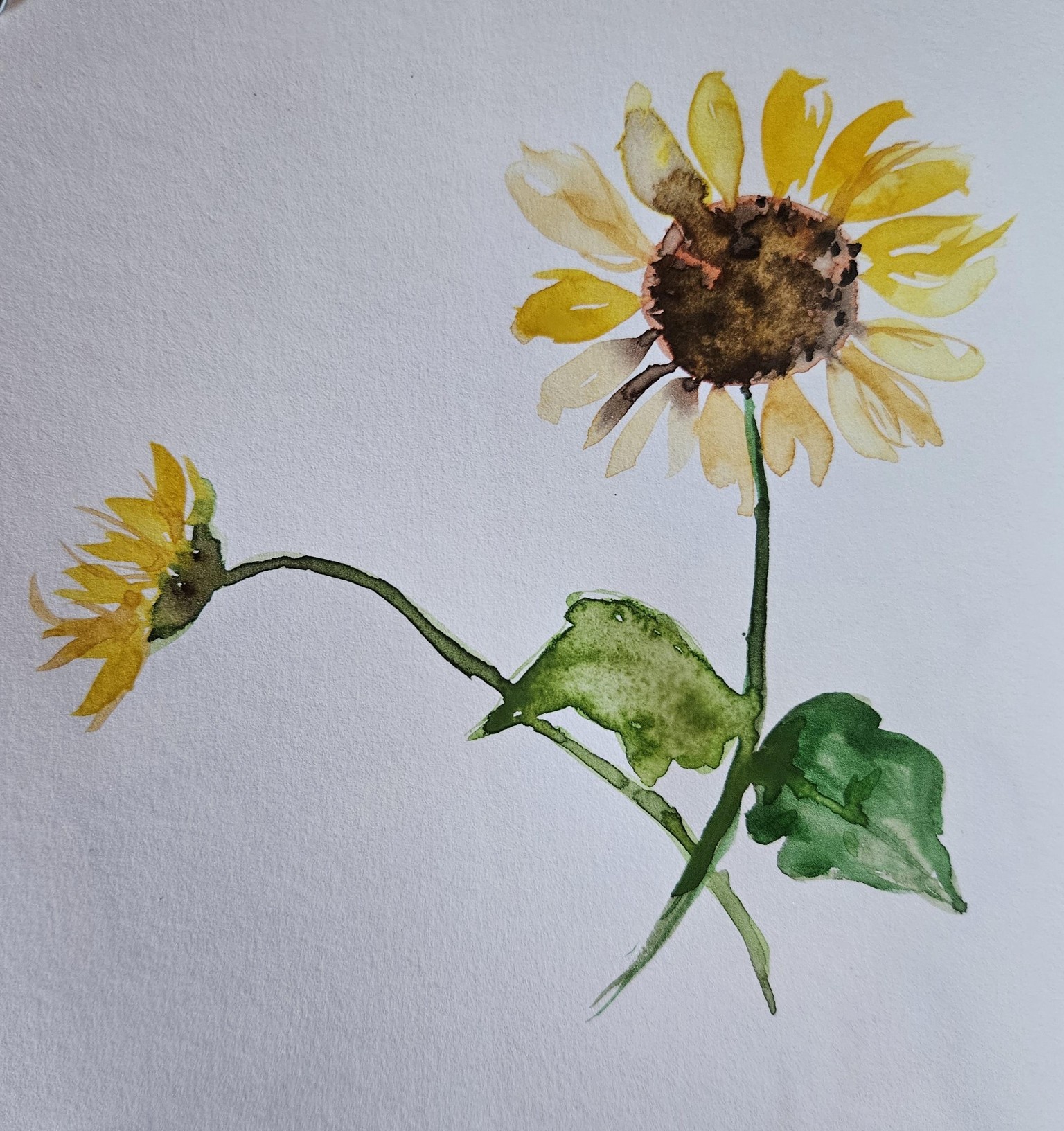 Sketchbook sunflower - image 1 - student project