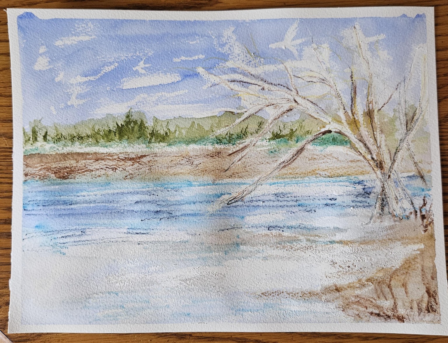 Bare Winter tree - image 1 - student project