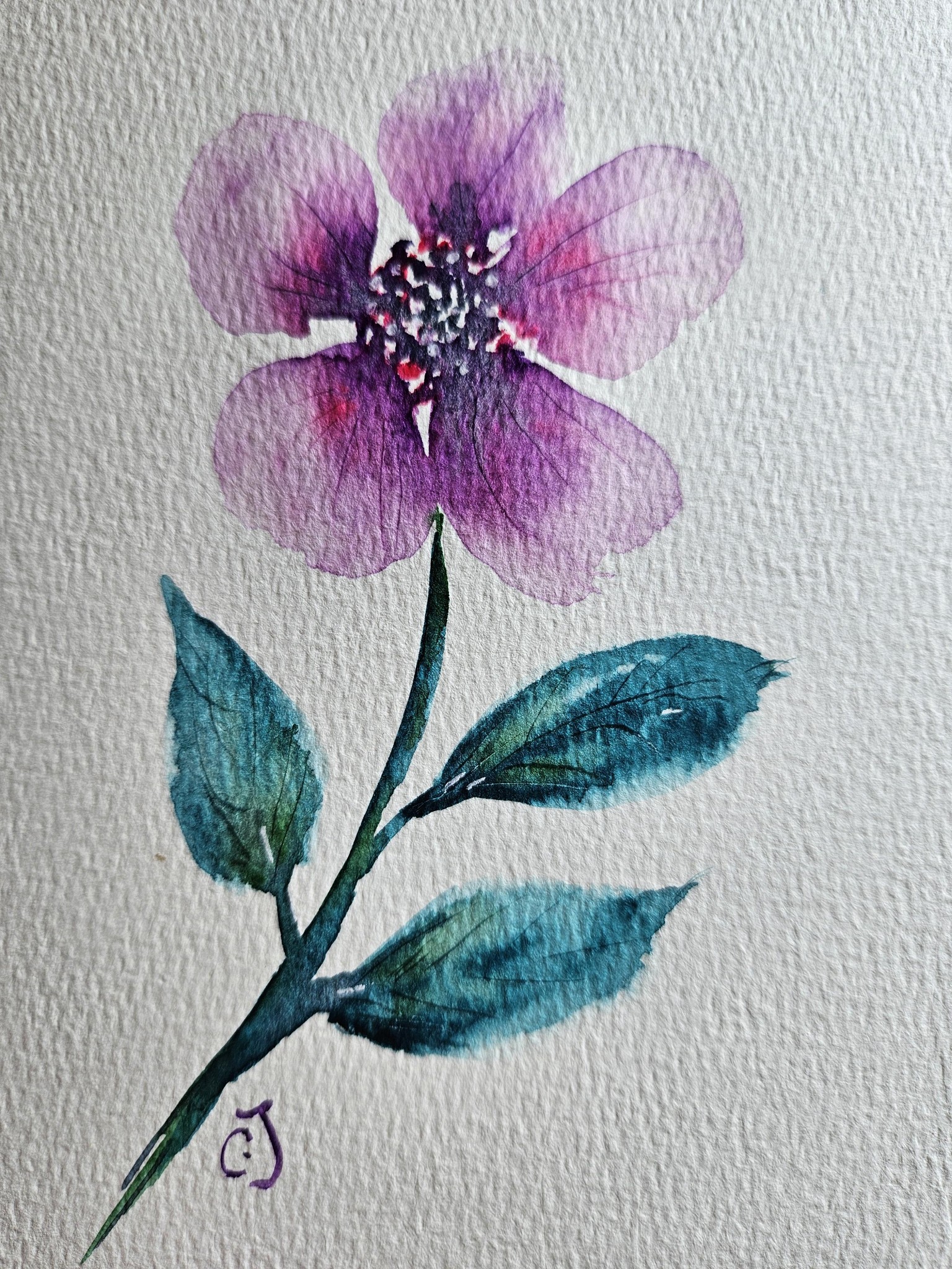 Flower with scratching - image 1 - student project