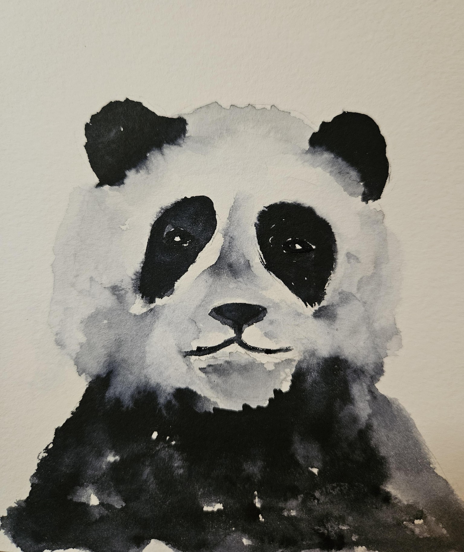 Cute baby animals - image 3 - student project
