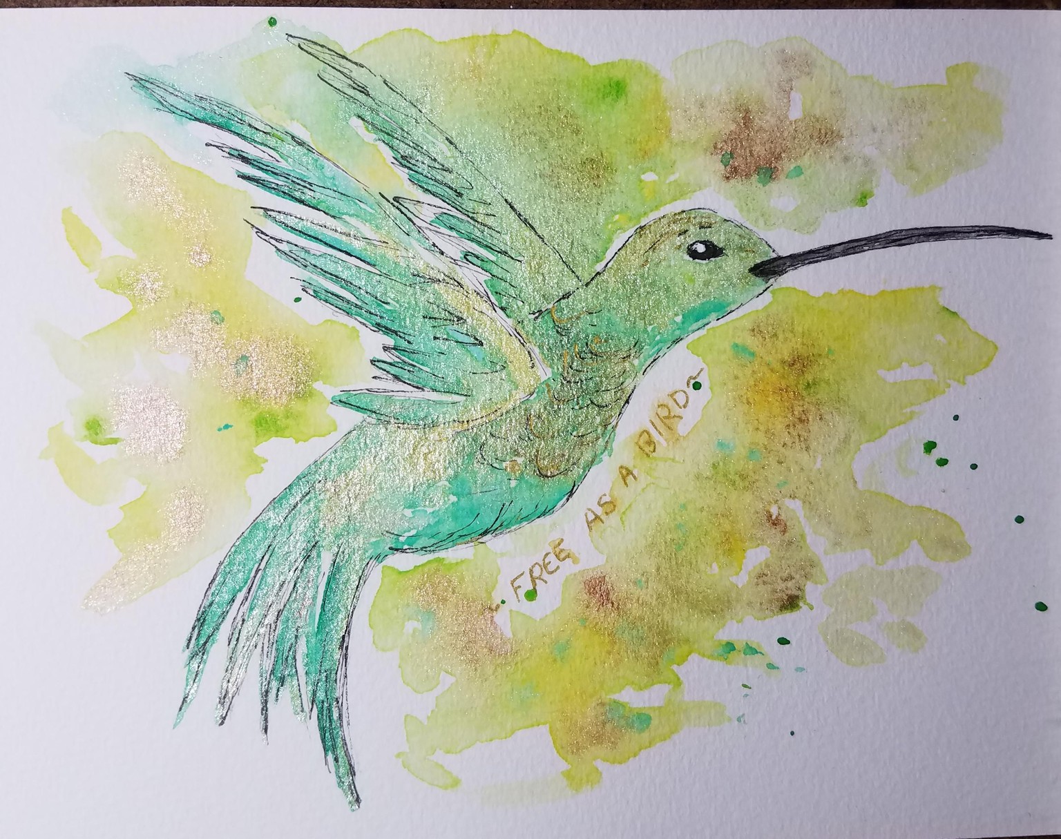 Humbird - image 1 - student project