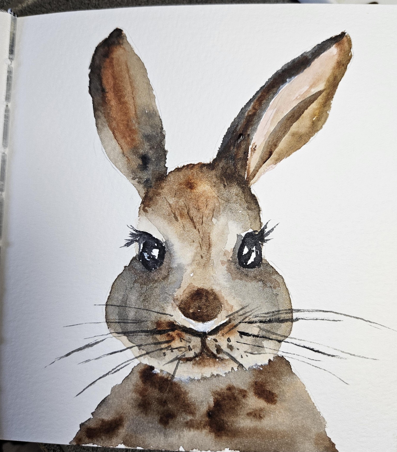 Cute baby animals - image 1 - student project