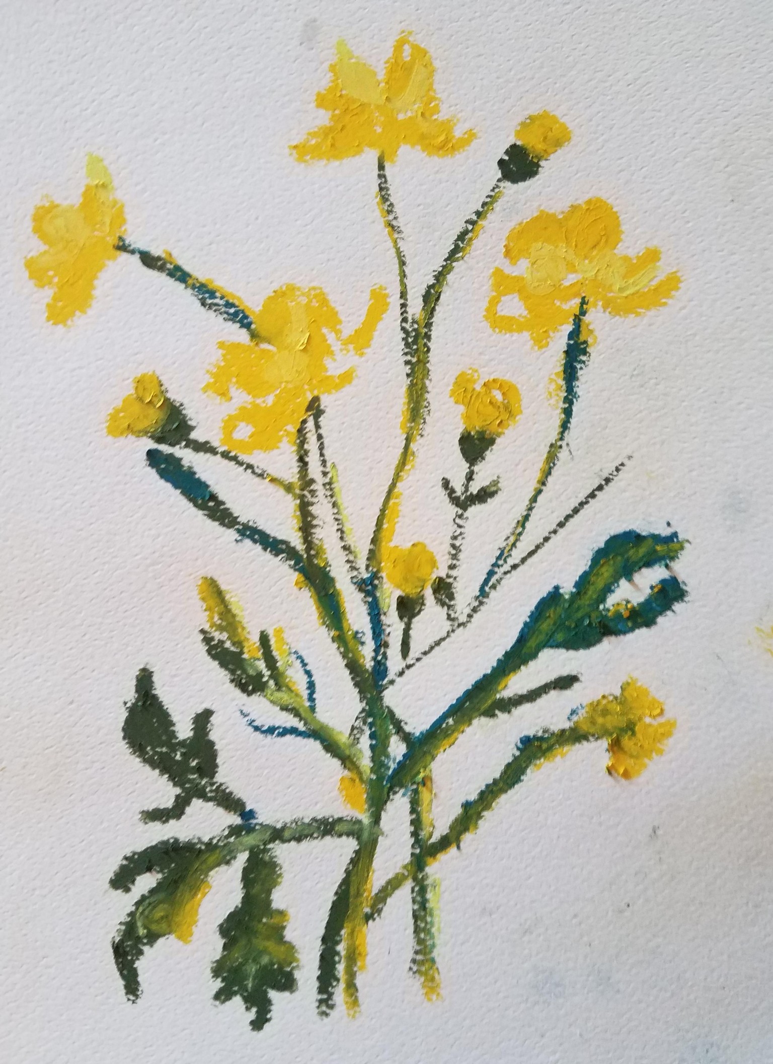 Buttercup-pastel - image 1 - student project