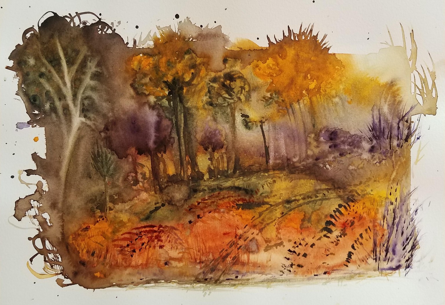 magic forest - image 1 - student project