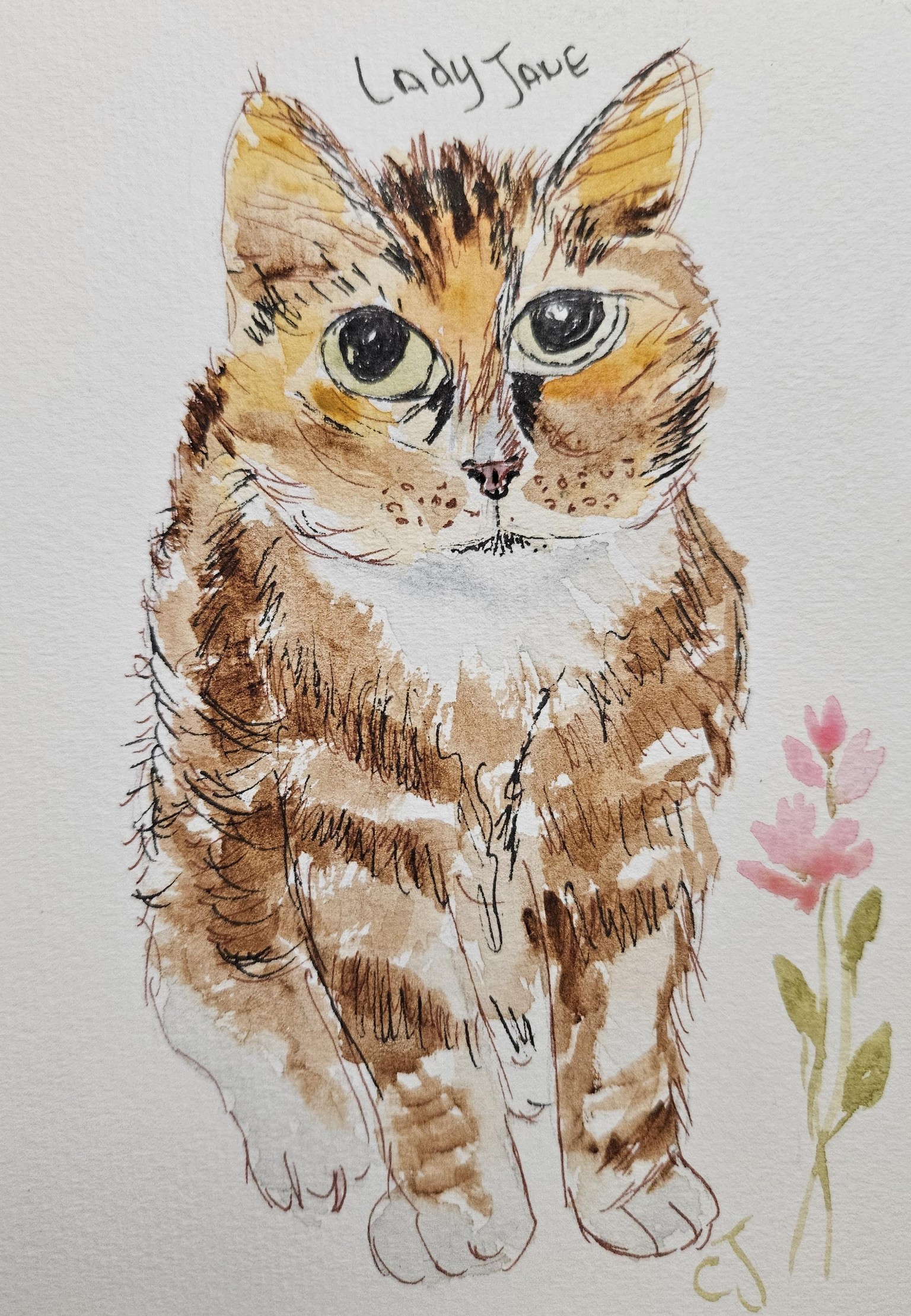 Lady Jane cat illustration - image 2 - student project