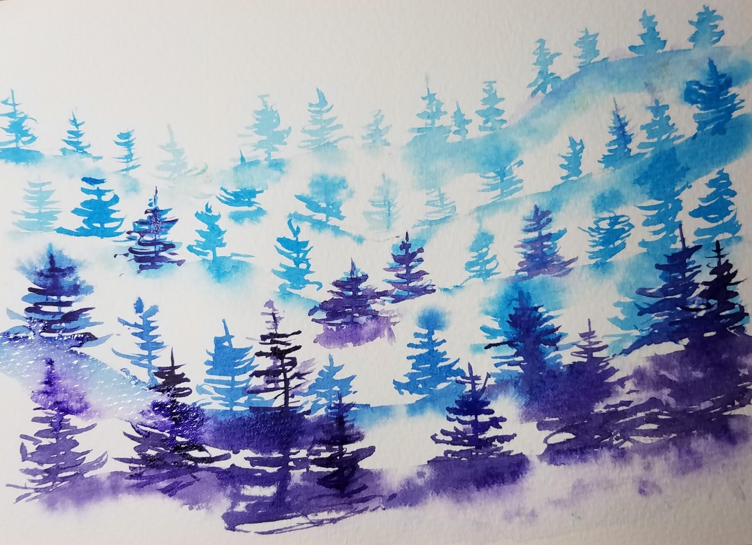 Misty pines - image 1 - student project