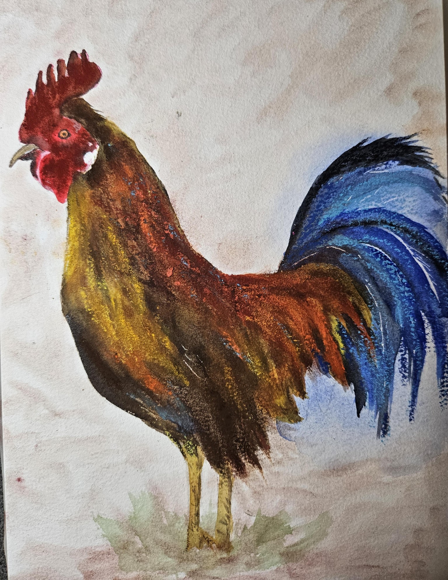Rooster. . mixed media - image 1 - student project