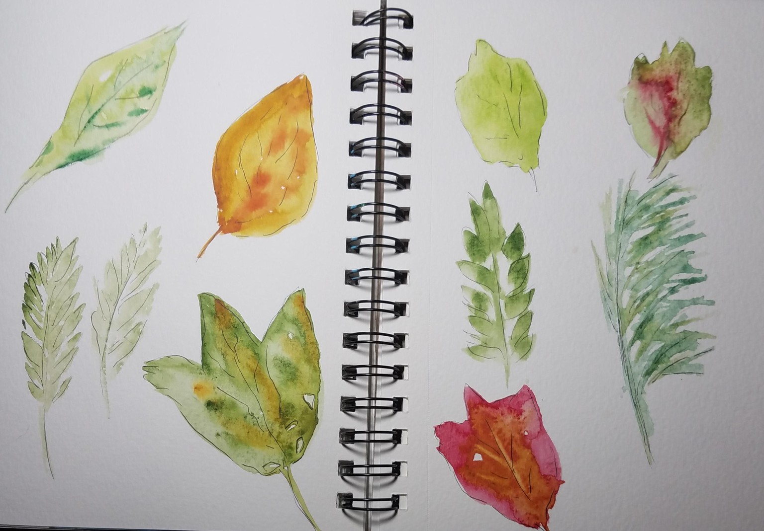 Sketchbook leaves - image 1 - student project
