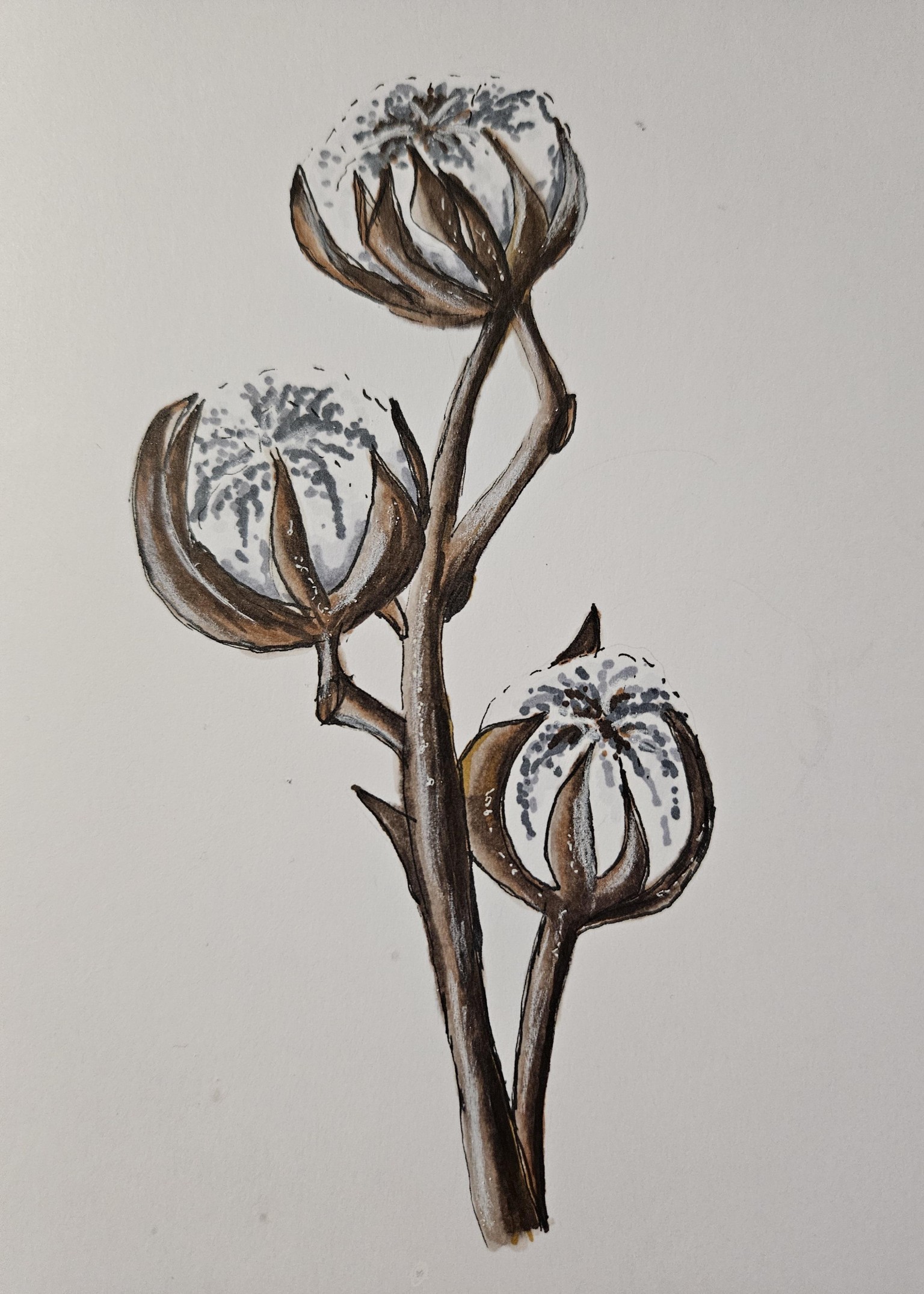 Cotton with markers - image 1 - student project
