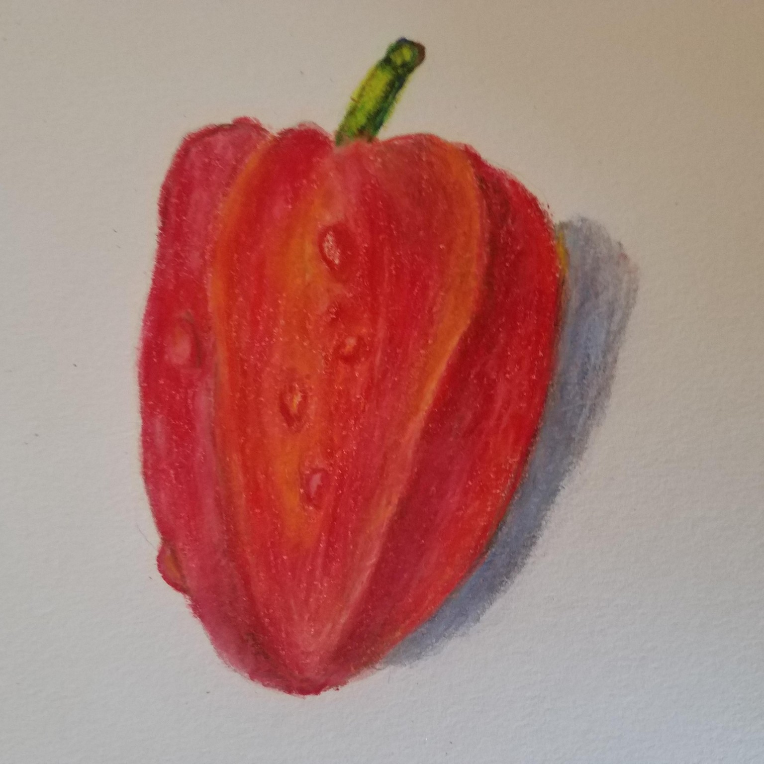 My first pencil drawing - image 2 - student project