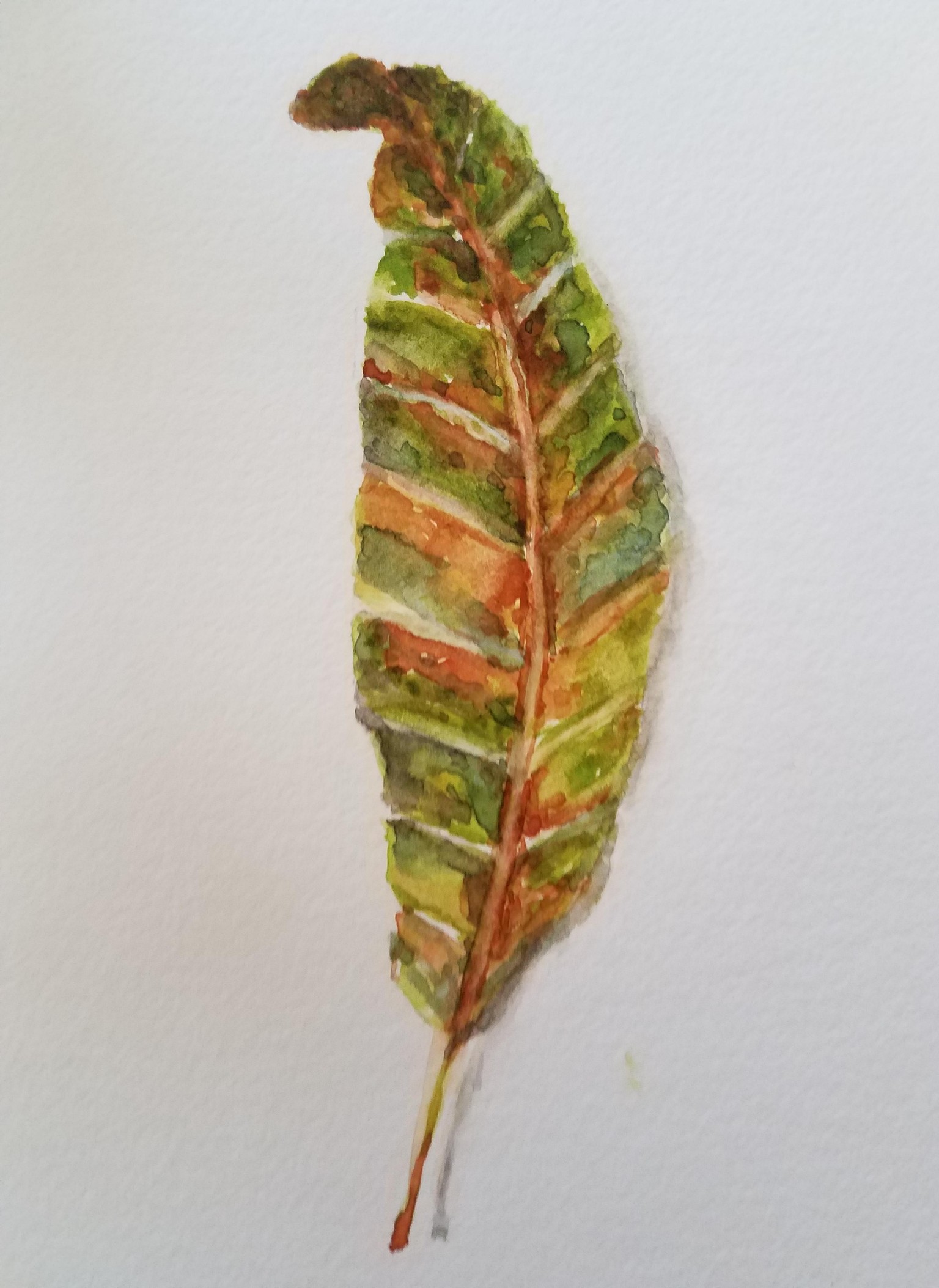 Leaf - image 1 - student project