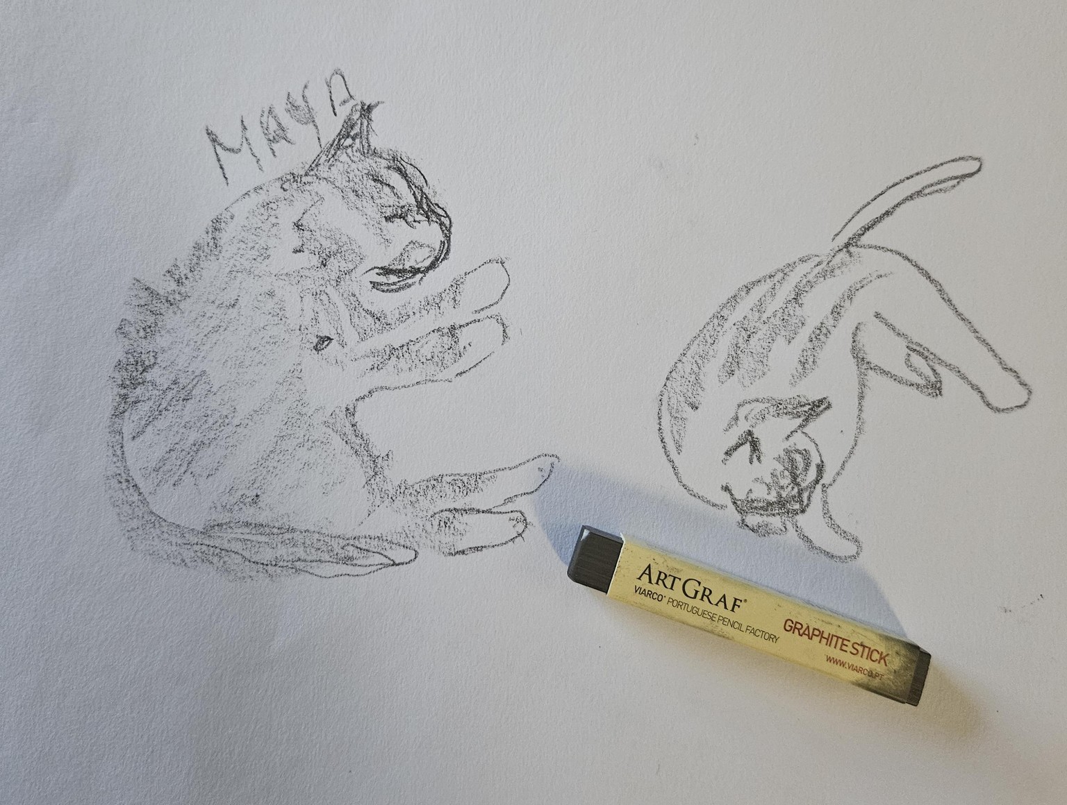 Loose sketching -stick graphite - image 4 - student project