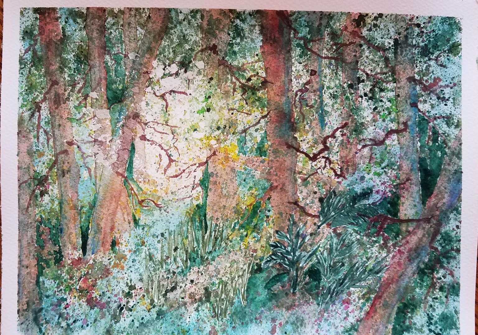 forest - image 1 - student project