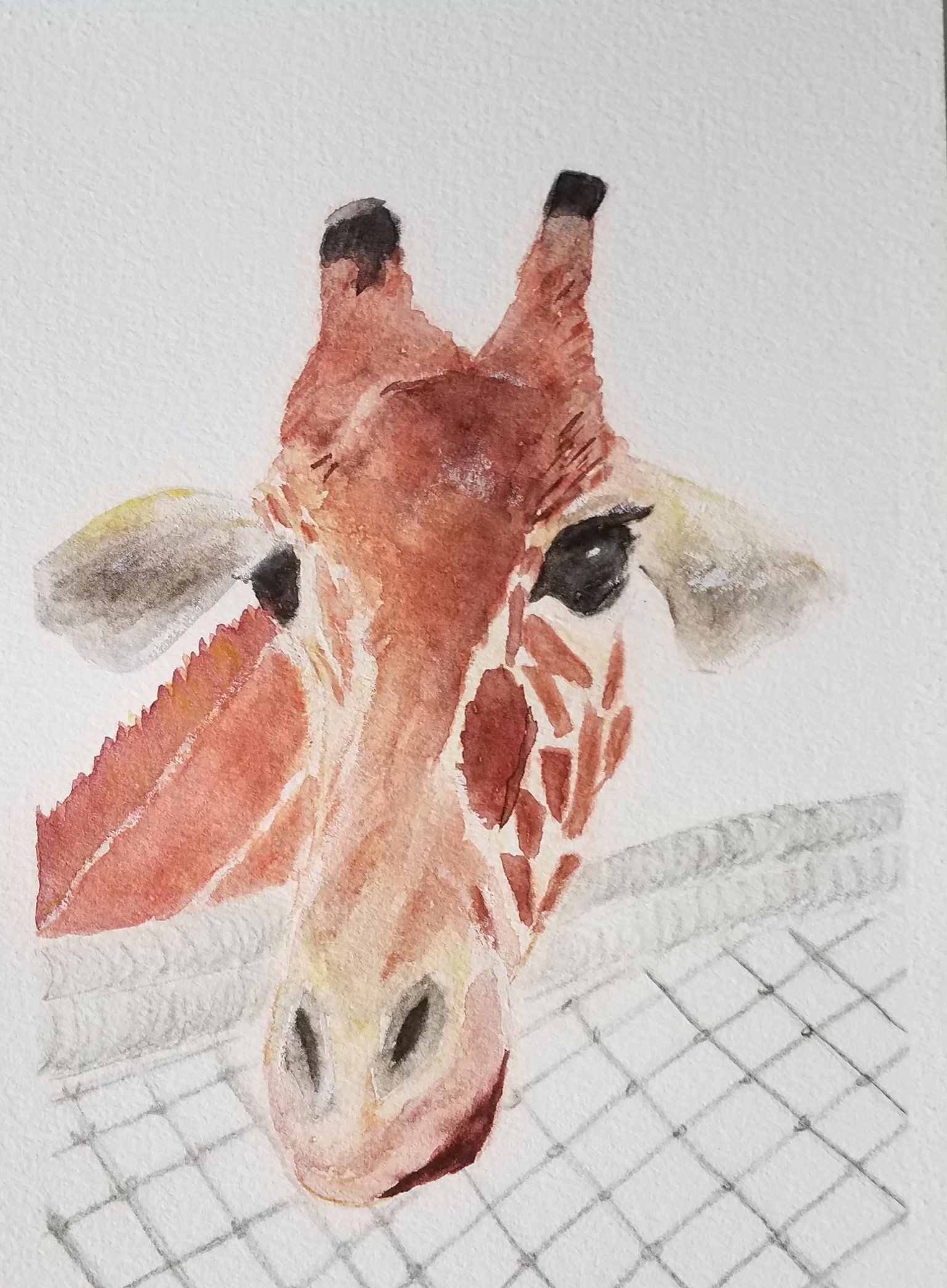 giraffe - image 2 - student project