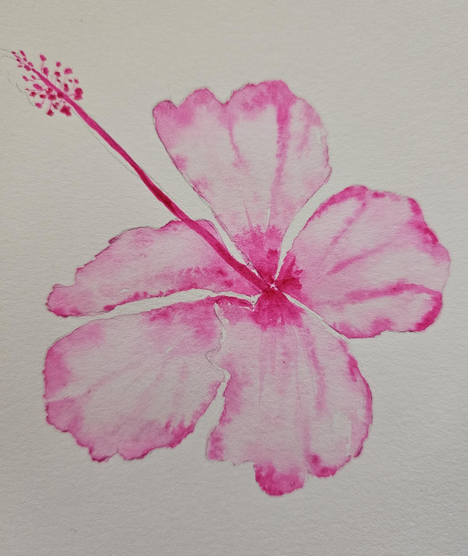 Tropical plants with Priya - image 1 - student project