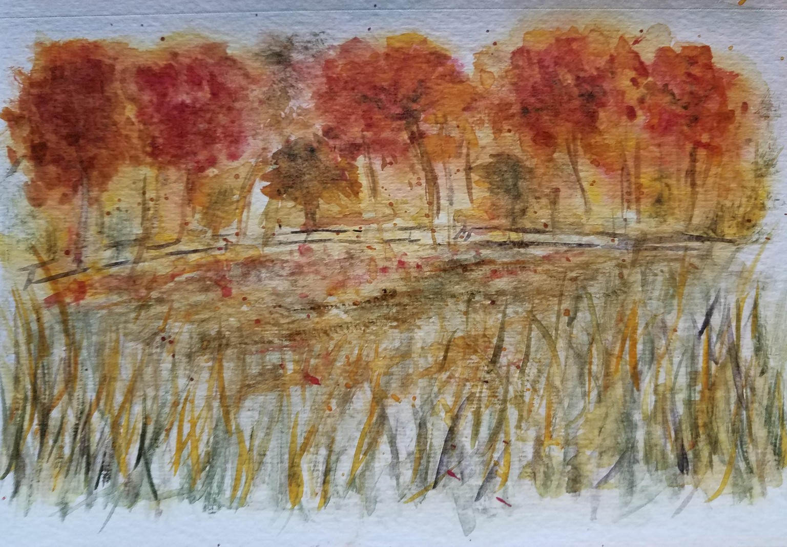 Fall trees - image 1 - student project