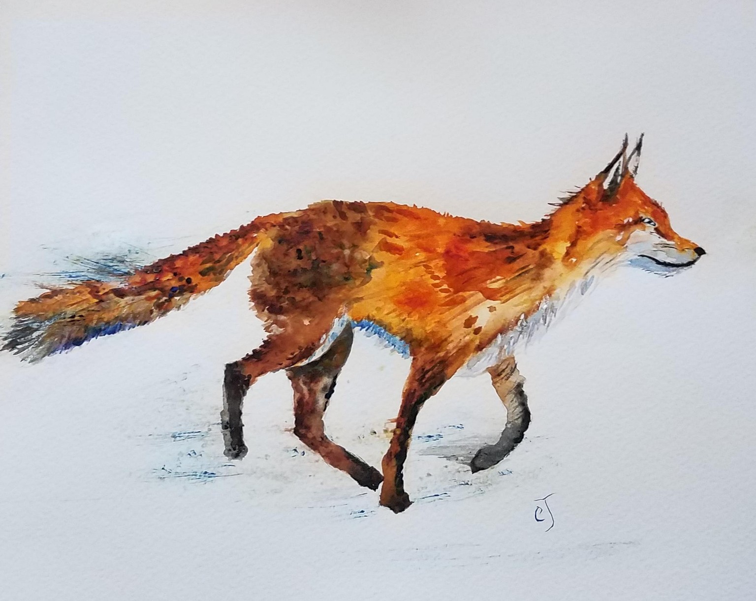 Fox0311 - image 1 - student project