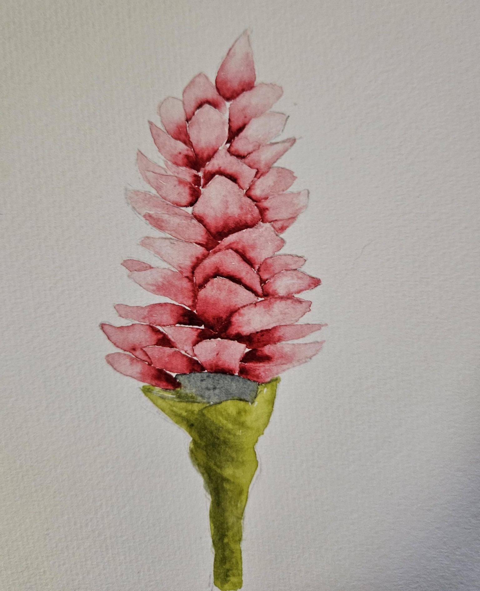 Tropical plants with Priya - image 3 - student project