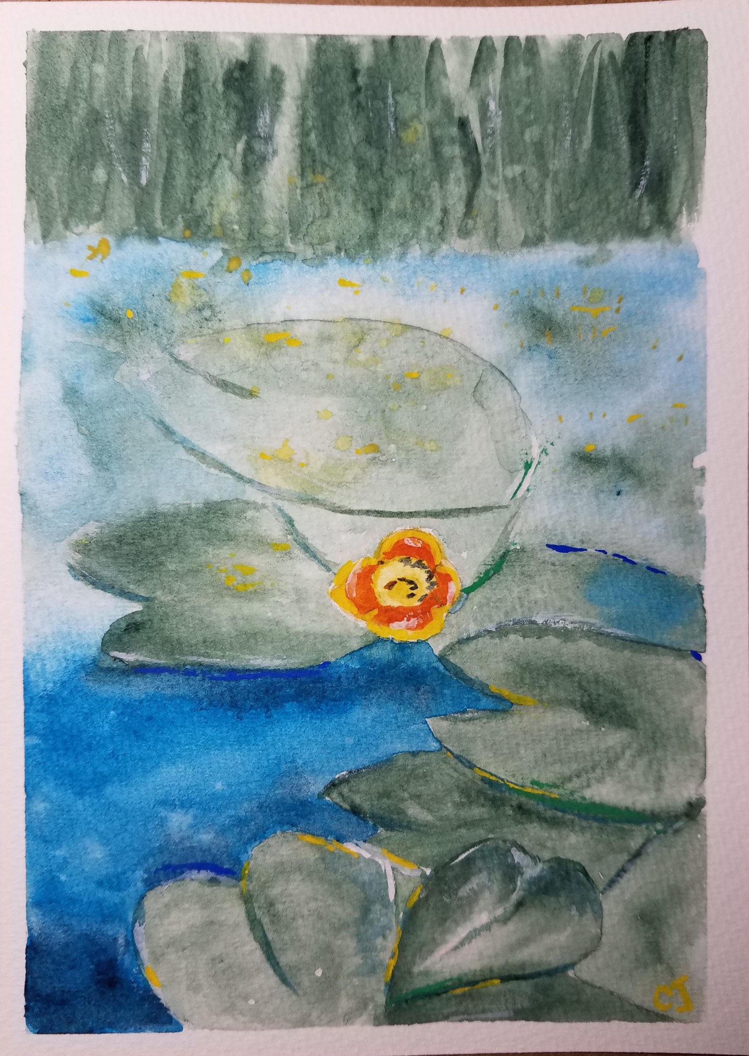 Waterlily - image 1 - student project