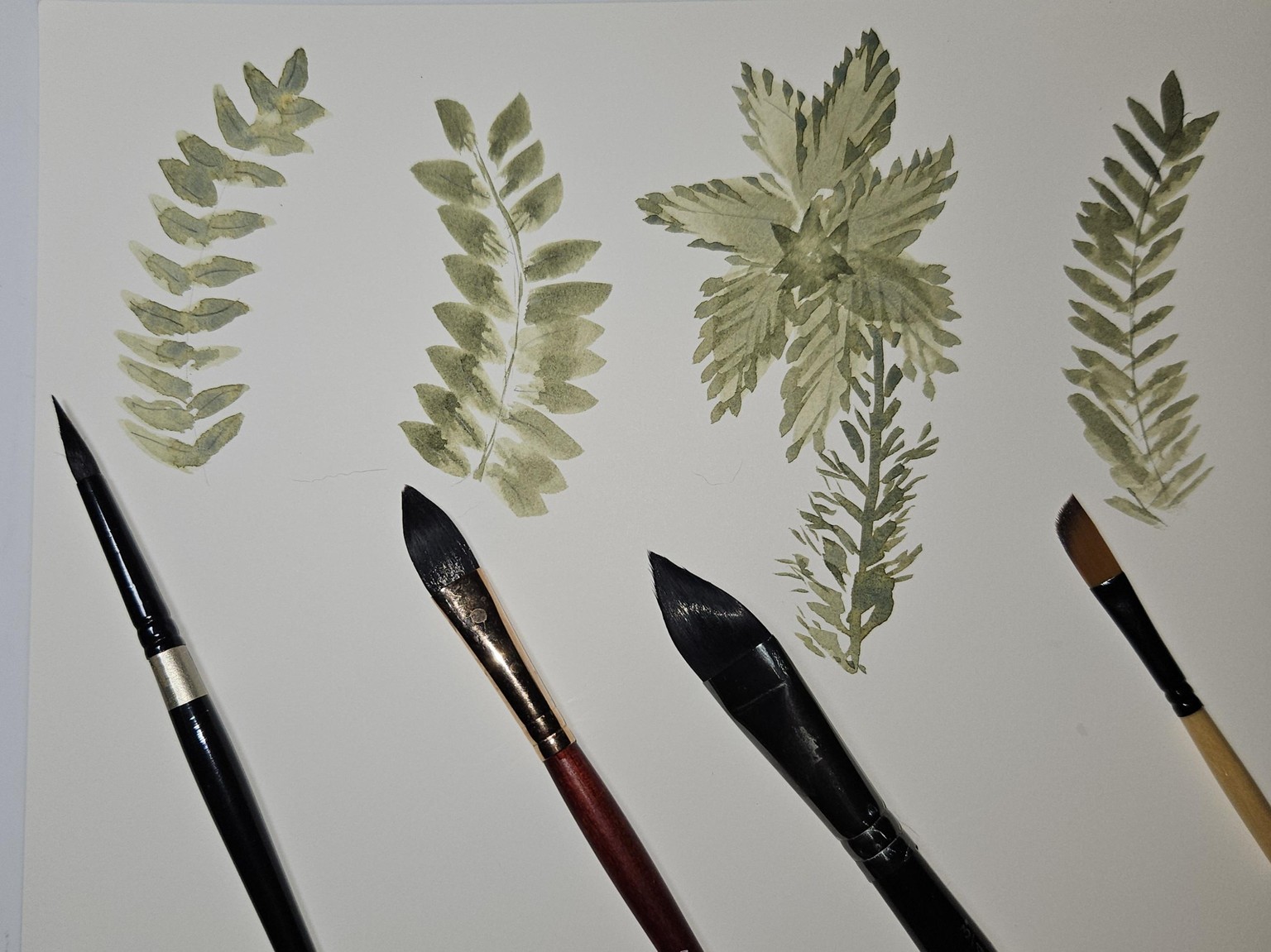 Leaves in undersea green - image 1 - student project