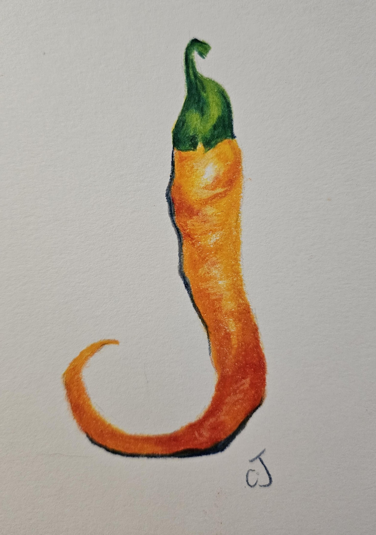 Chili in pencil - image 1 - student project