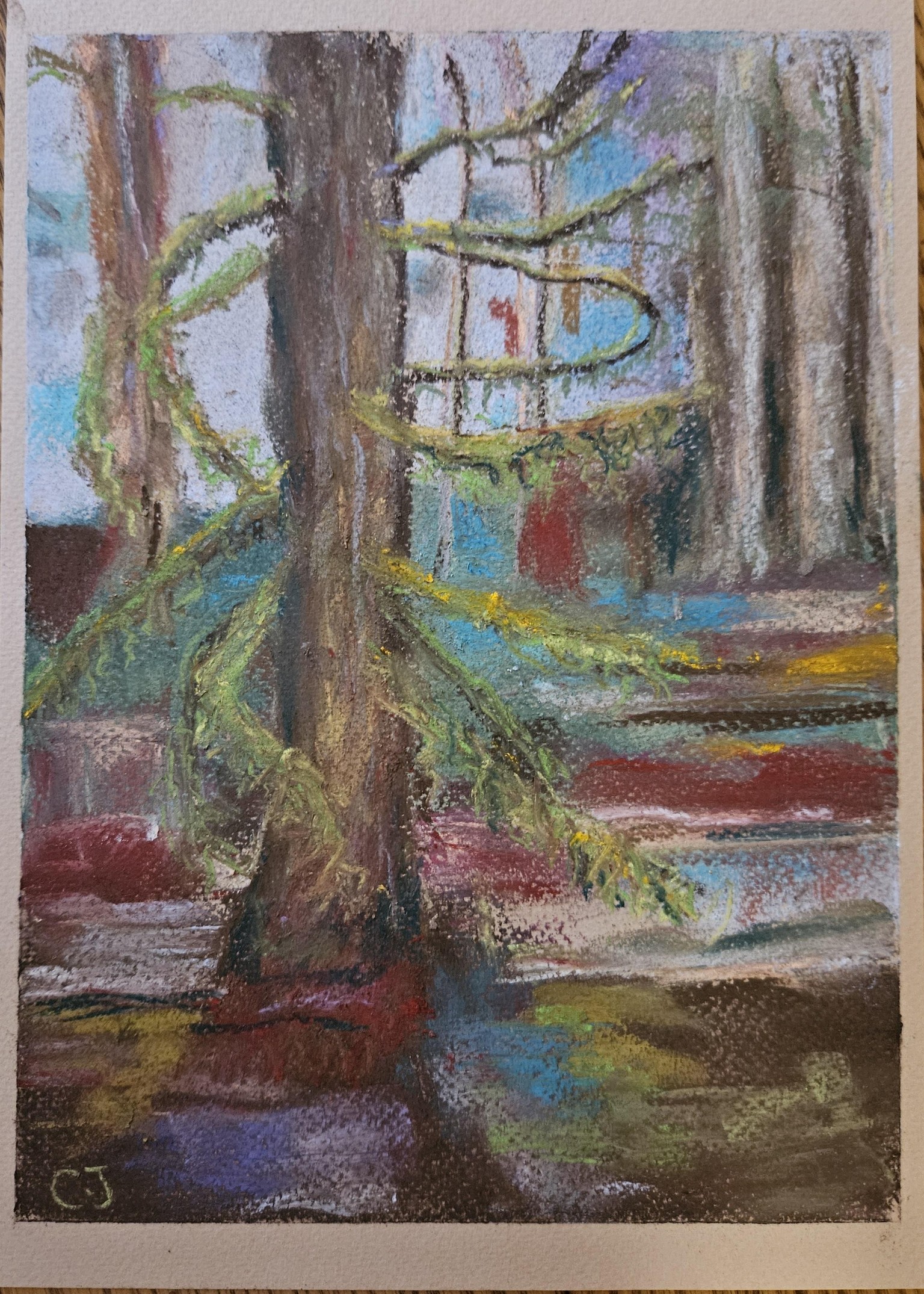 Cedar tree pastel - image 1 - student project
