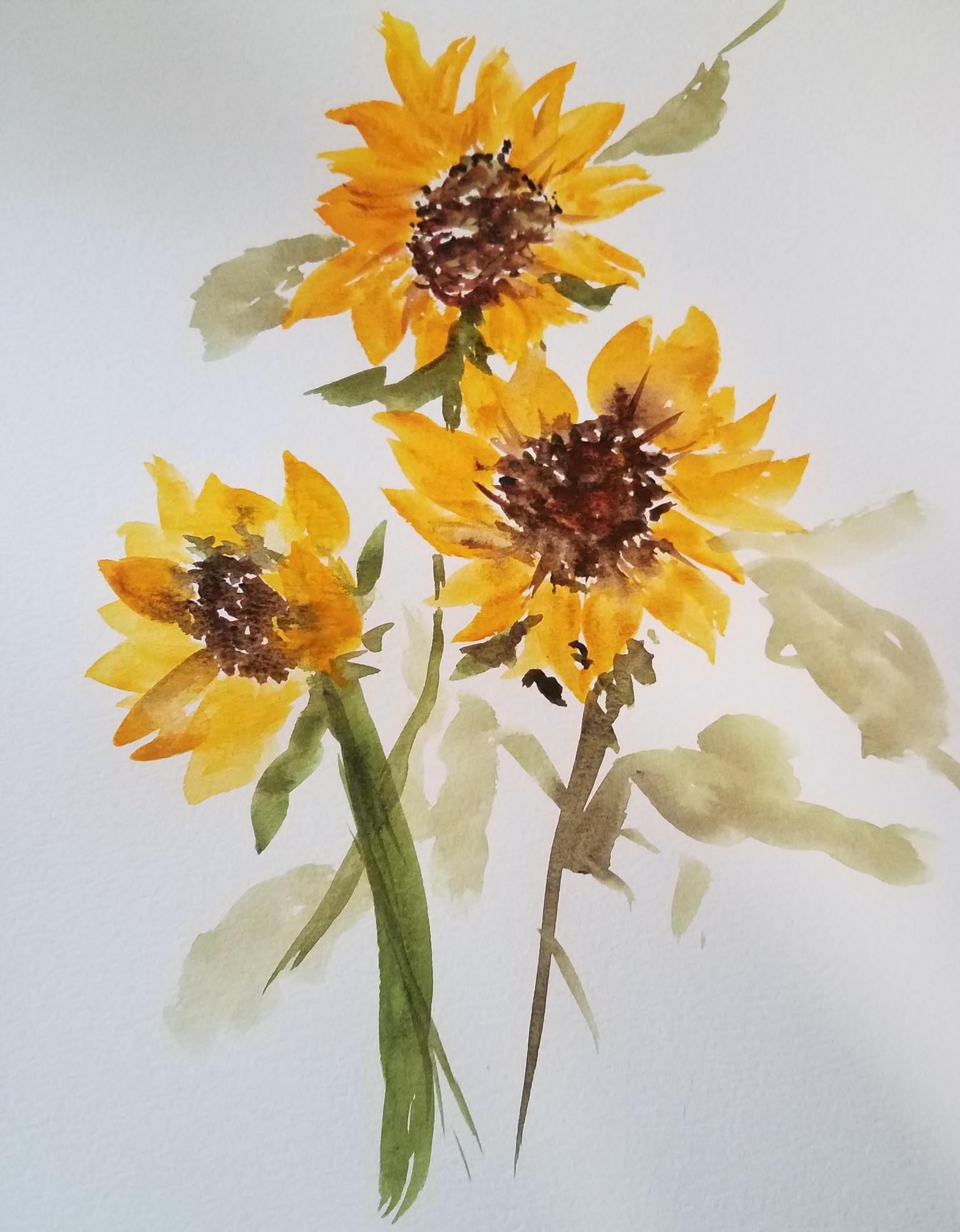 Loose sunflower0714 - image 2 - student project