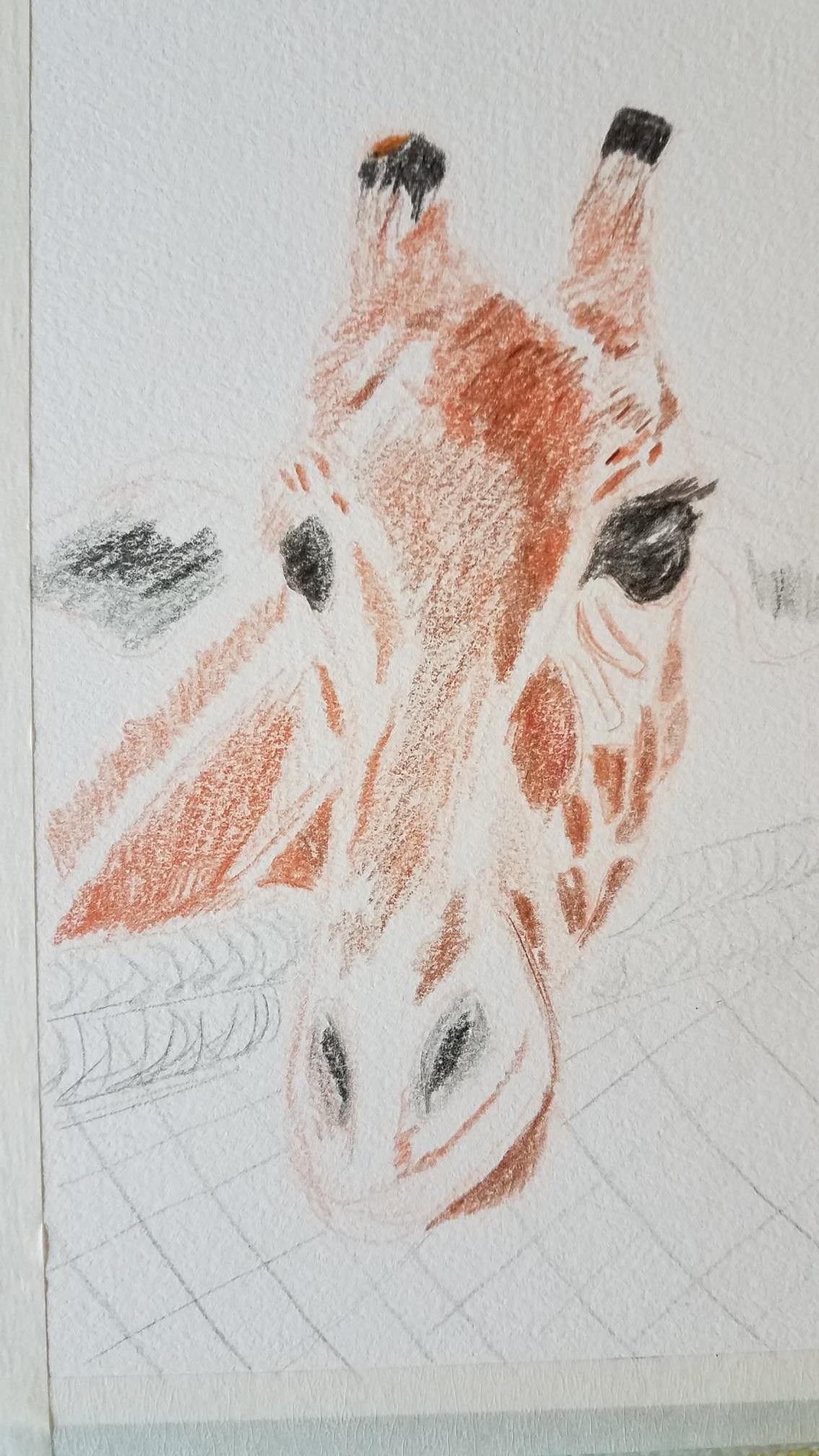 giraffe - image 1 - student project