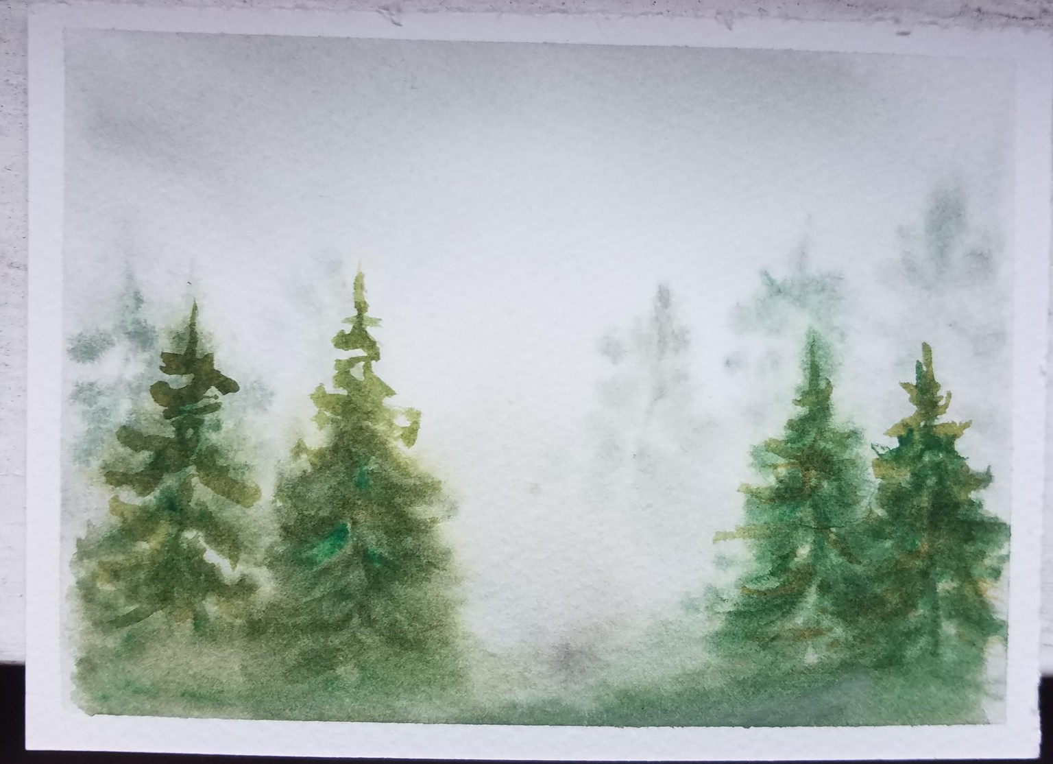 Mistytrees - image 1 - student project
