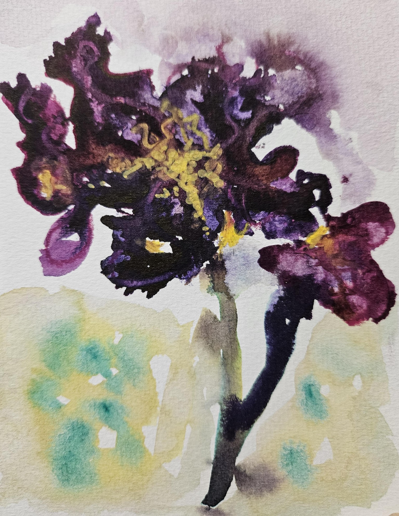 Loose watercolor Ph Martin Hydrus - image 3 - student project