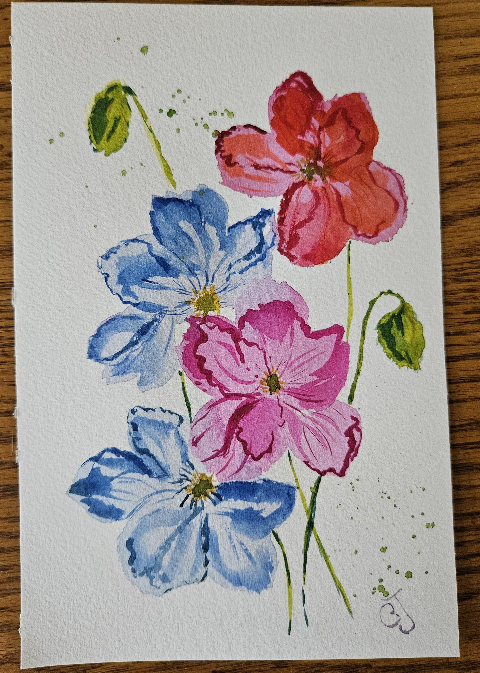 Icelandic poppies - image 1 - student project