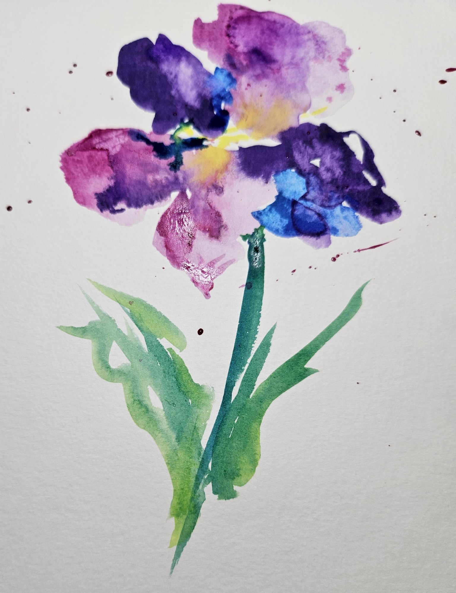 Loose watercolor Ph Martin Hydrus - image 2 - student project